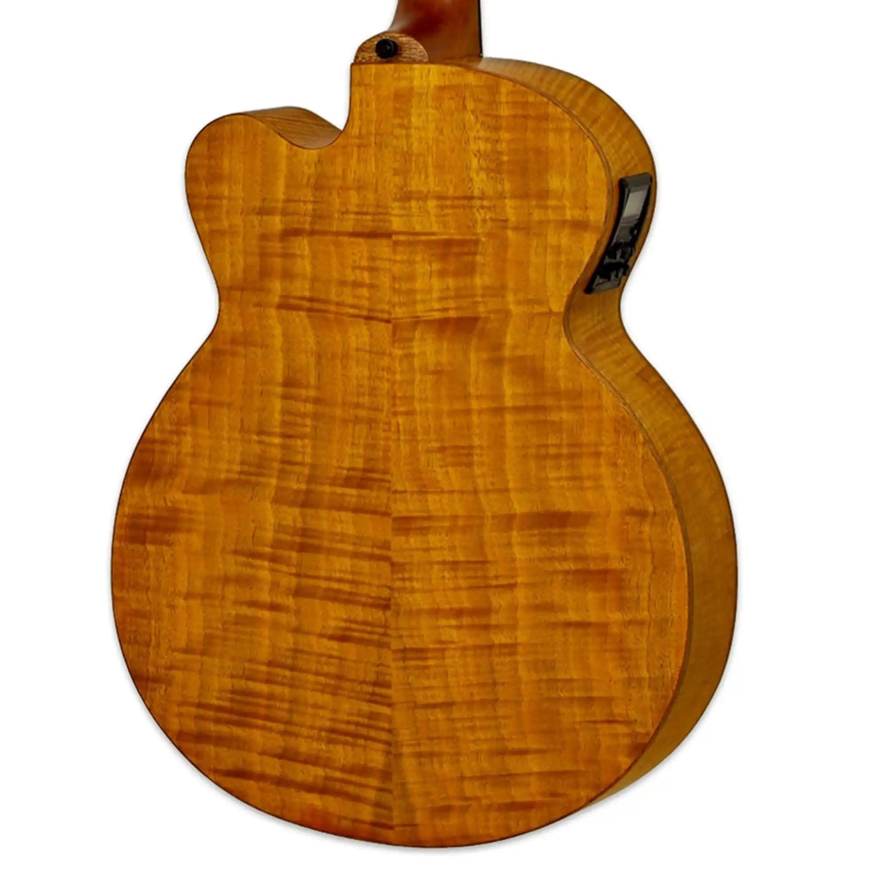 Aria-Fretless-Bass-GuitarSTBR2 | Terry Carter Music Store