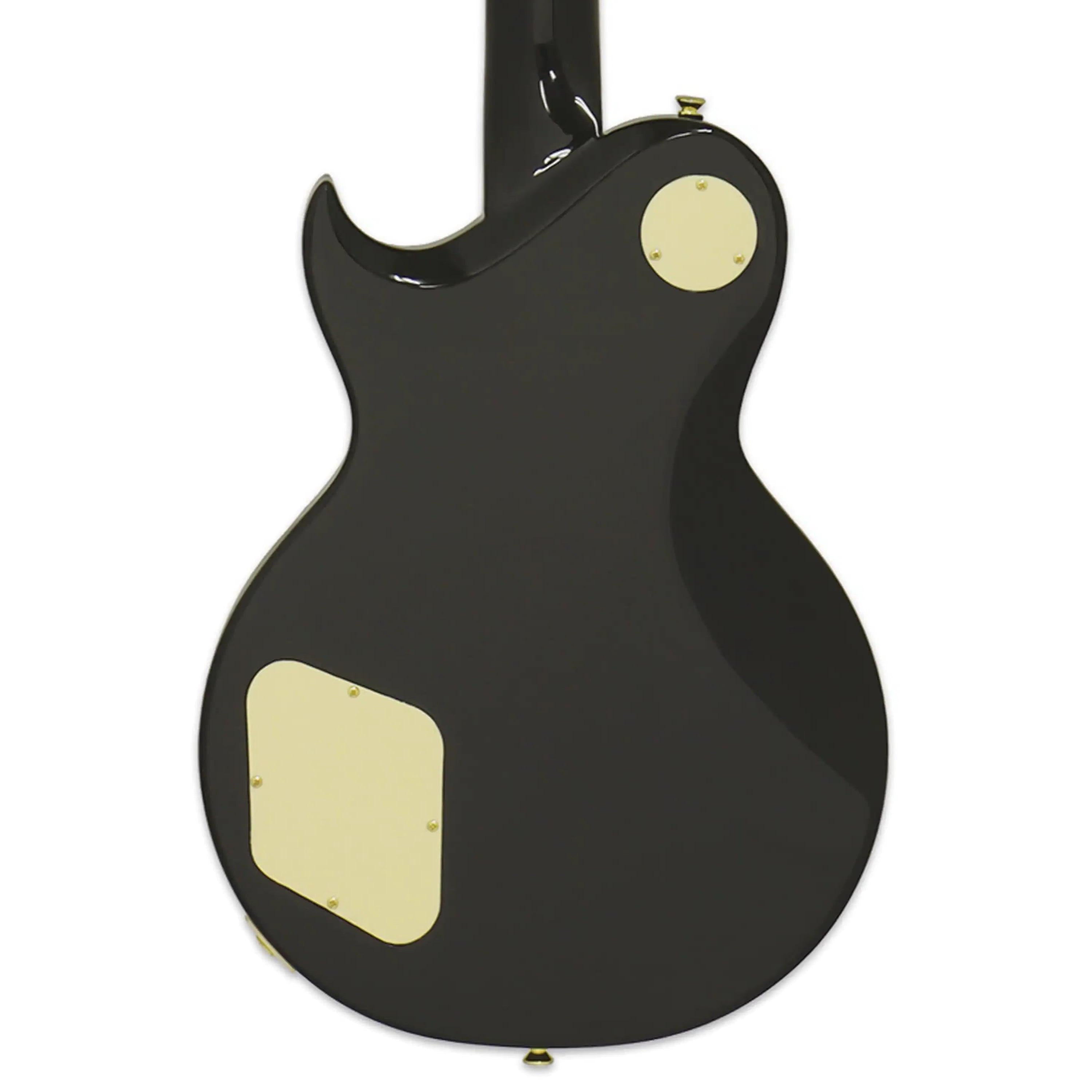 Aria-PE-350PF-Electric-Guitar2 | Terry Carter Music Store