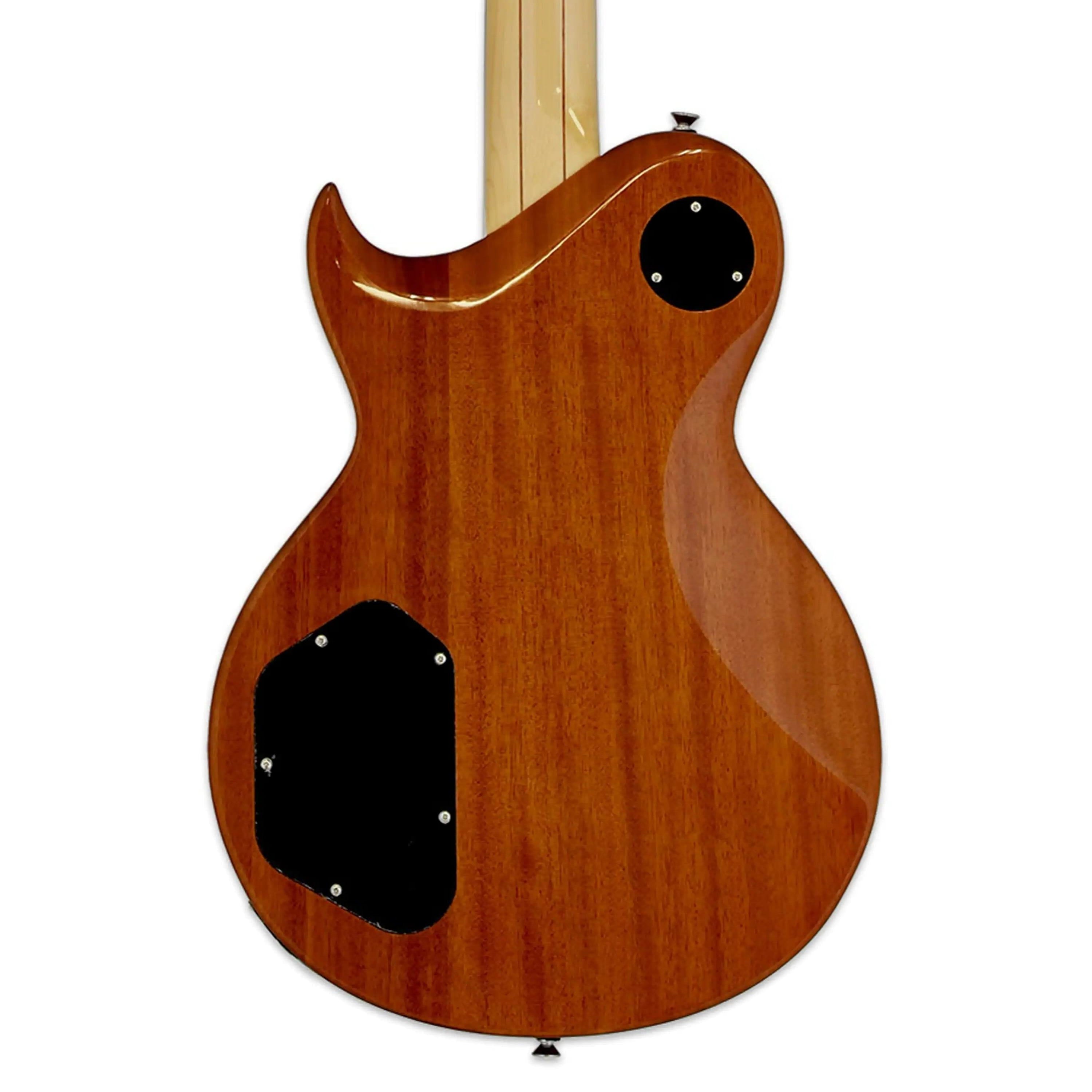 Aria-PE-480-Electric-Guitar2 | Terry Carter Music Store