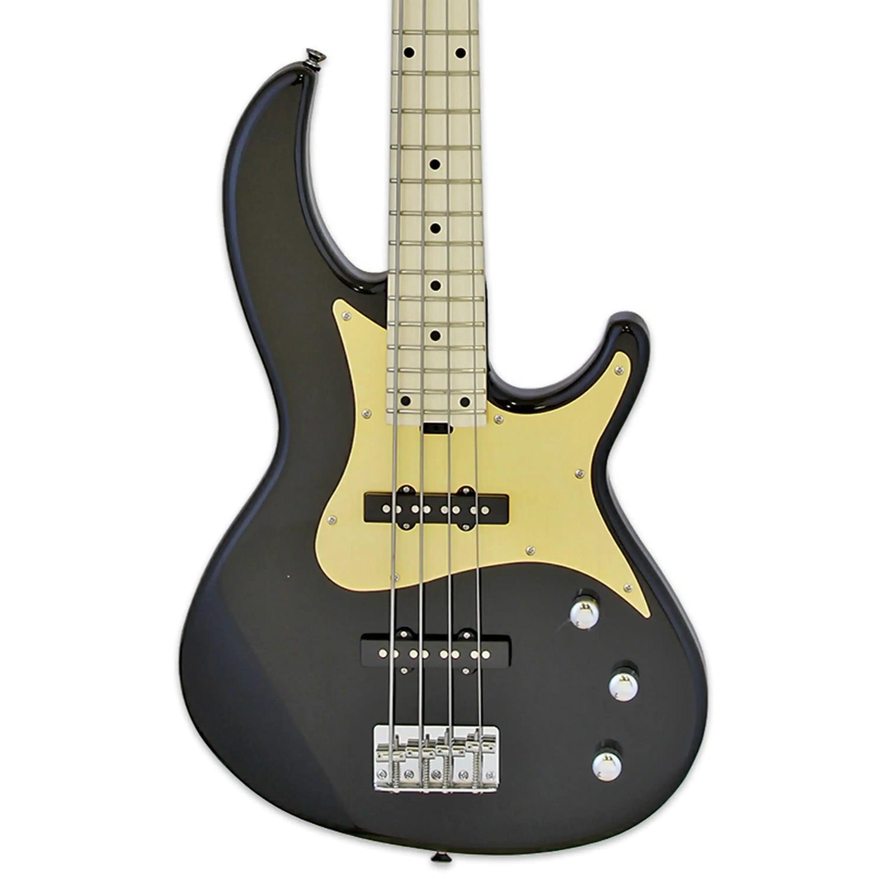 Aria-RSB-618-4-Electric-Bassbk1 | Terry Carter Music Store