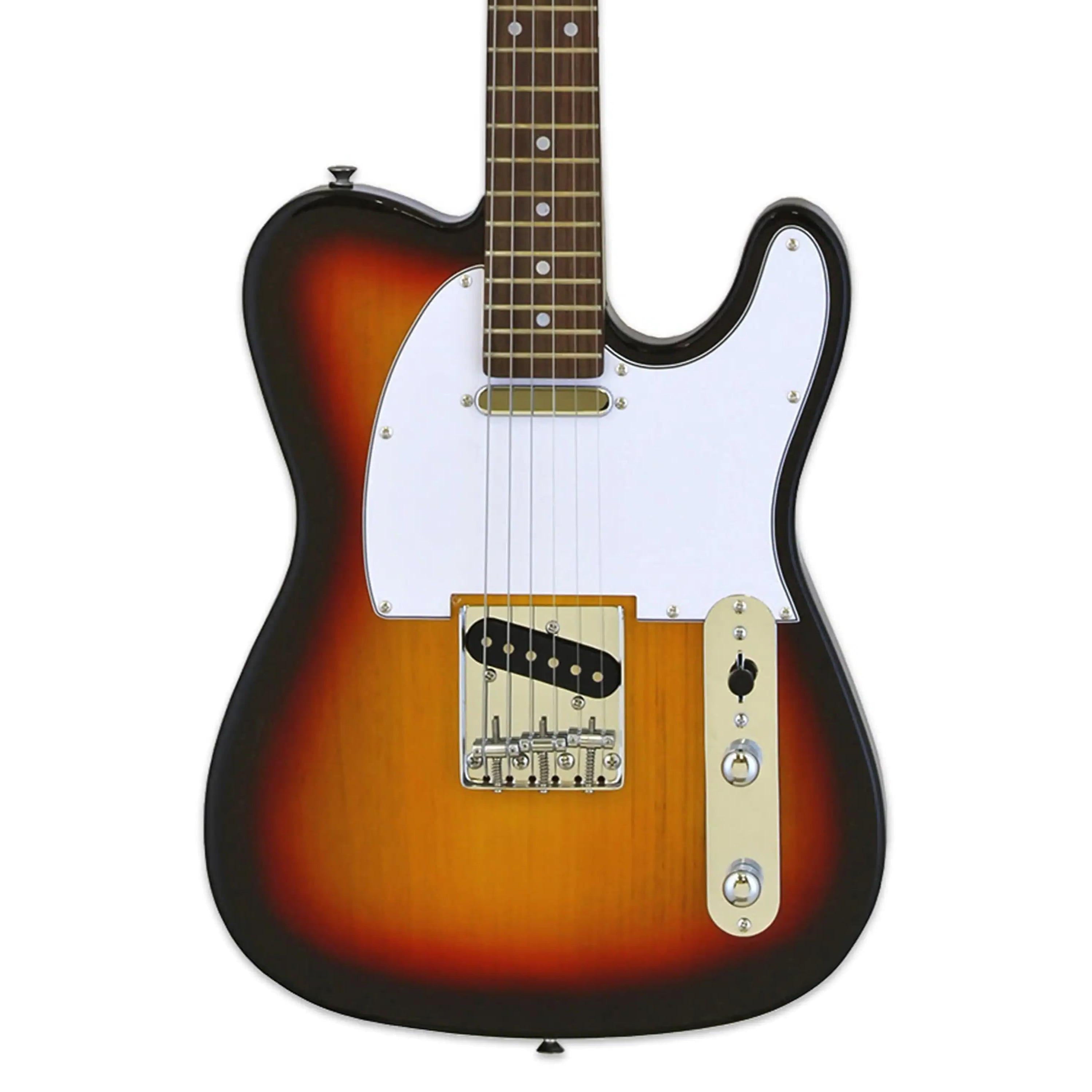 Aria-TEG-002M-Electric-Guitar3ts1 | Terry Carter Music Store