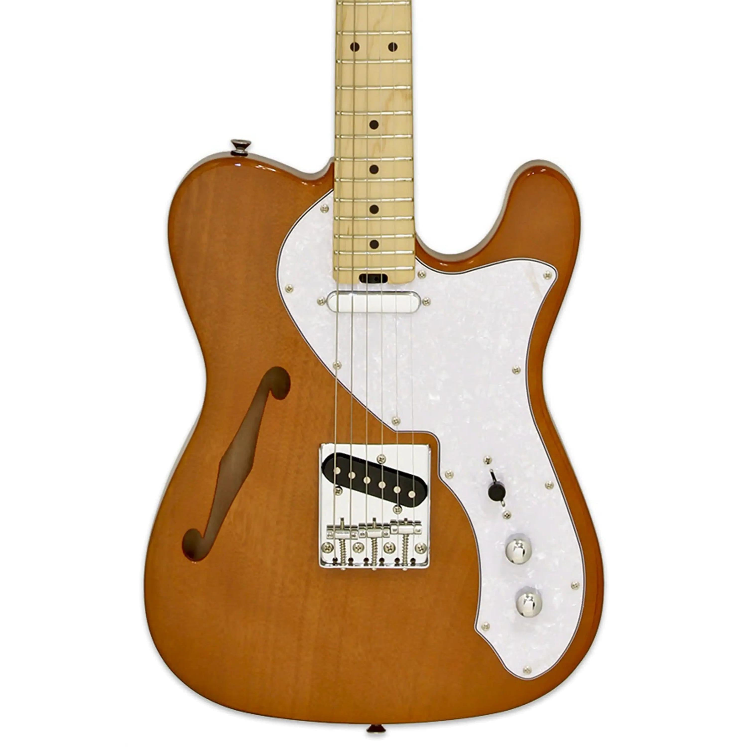 Aria-TEG-TL-Electric-Guitarn1 | Terry Carter Music Store