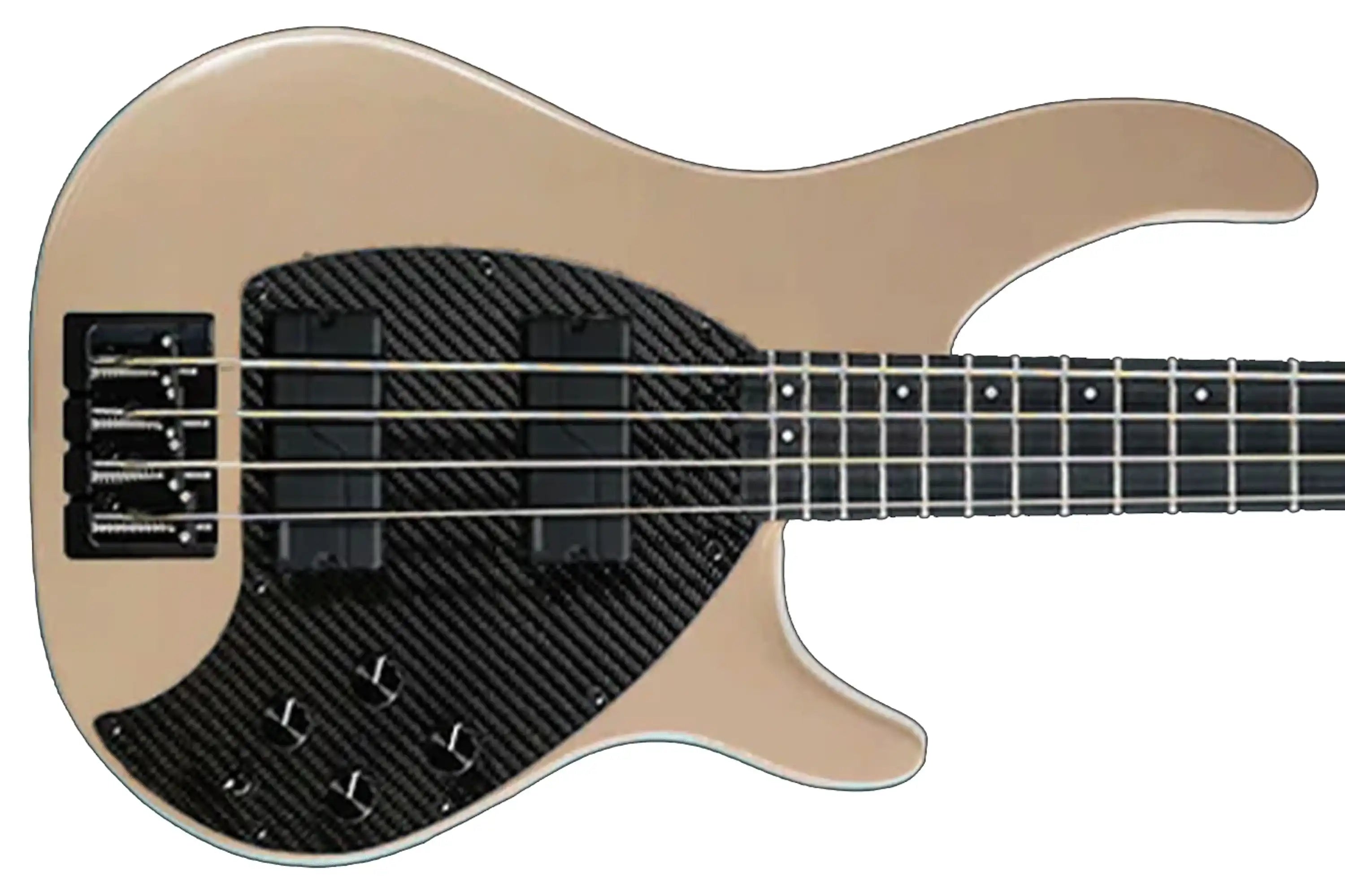 BASS_4CS_FEATH_UP_FISHMAN4KNOB2 | Terry Carter Music Store