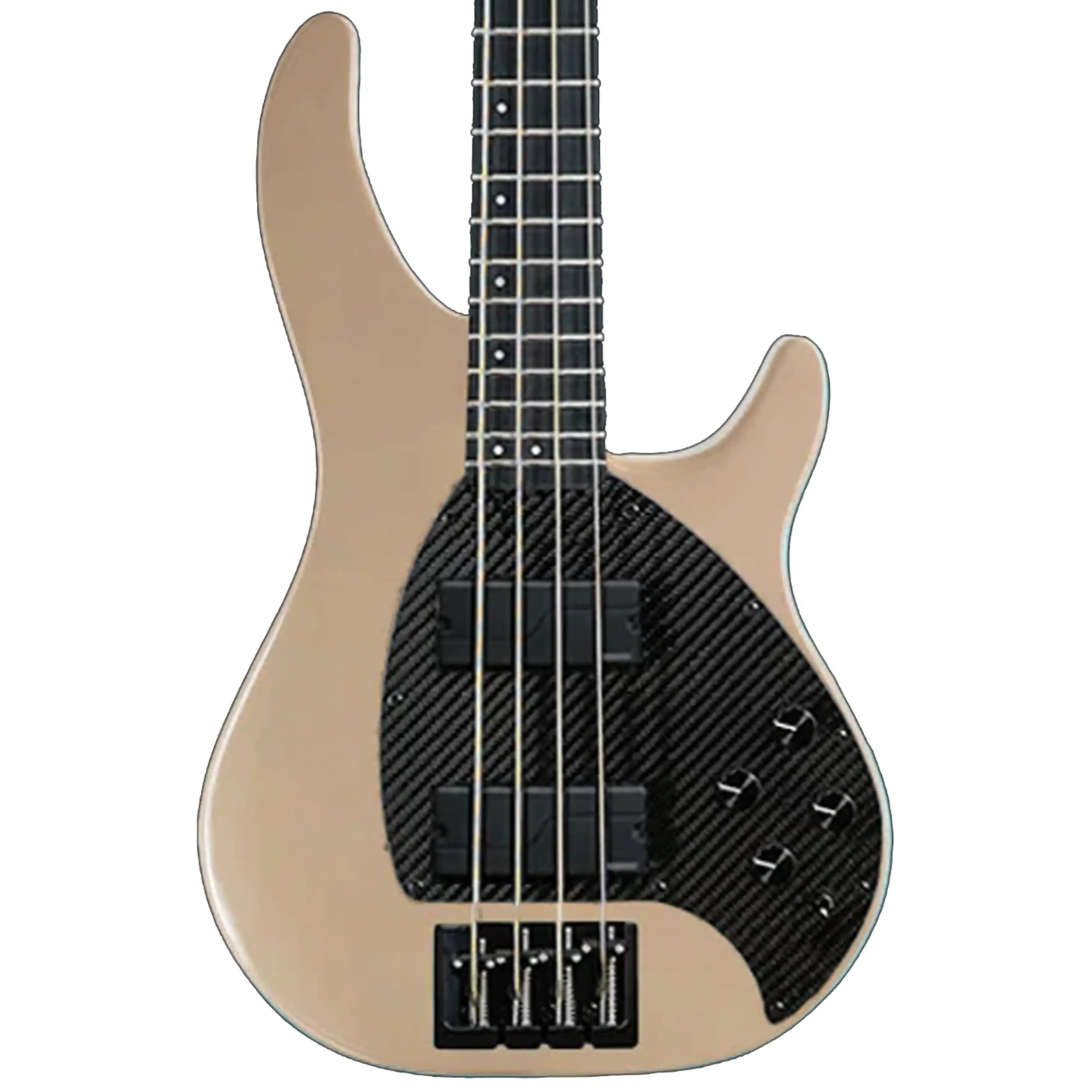 BASS_4CS_FEATH_UP_FISHMAN4KNOB2 | Terry Carter Music Store