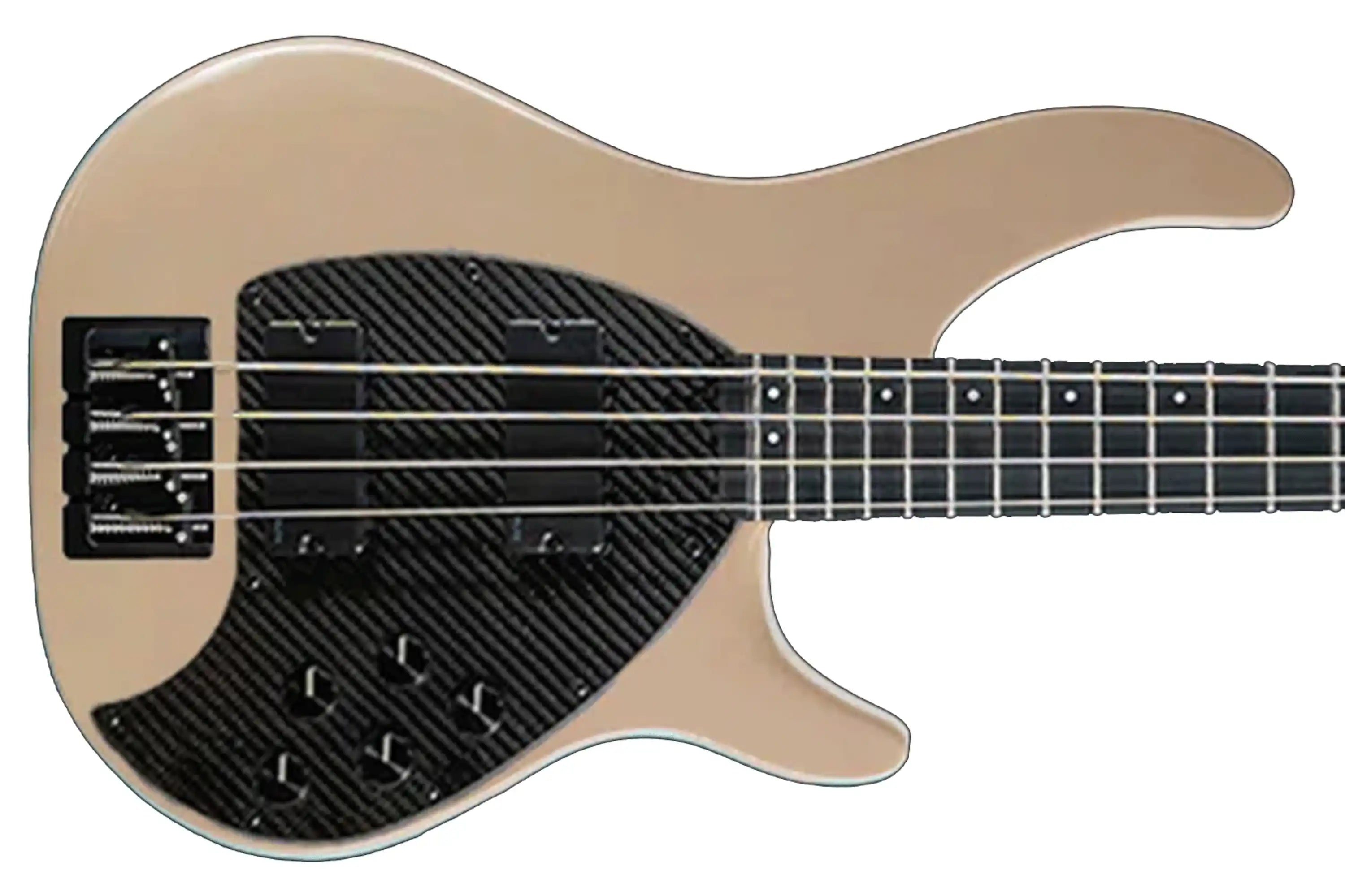 BASS_4CS_FEATH_UP_KLOS5KNOB_AP2_0f7e80e3-e01a-42e7-b9fd-1c395b062224 | Terry Carter Music Store
