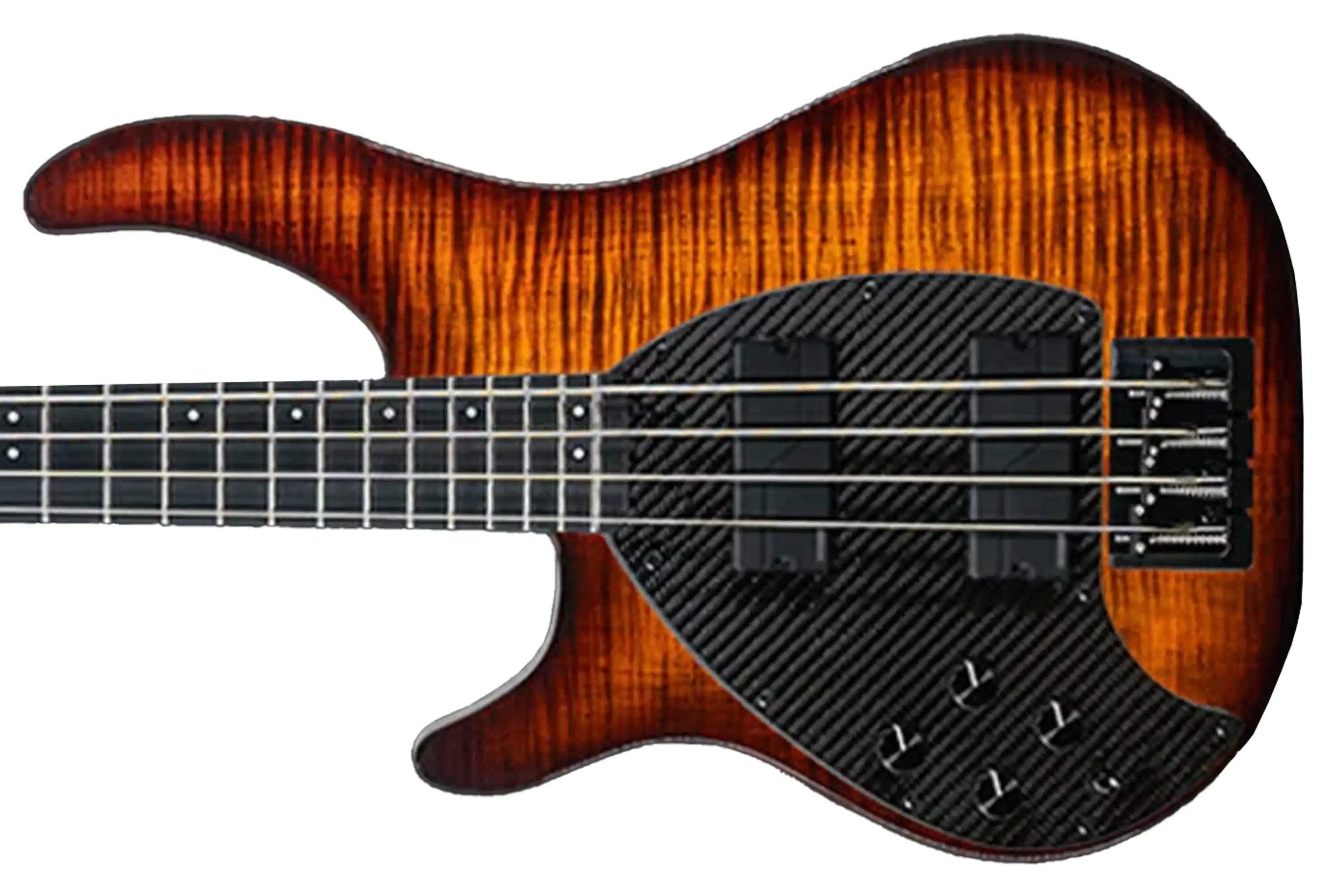 BASS_4CS_FLM_LEFT_UP_FISHMAN4KNOB2 | Terry Carter Music Store