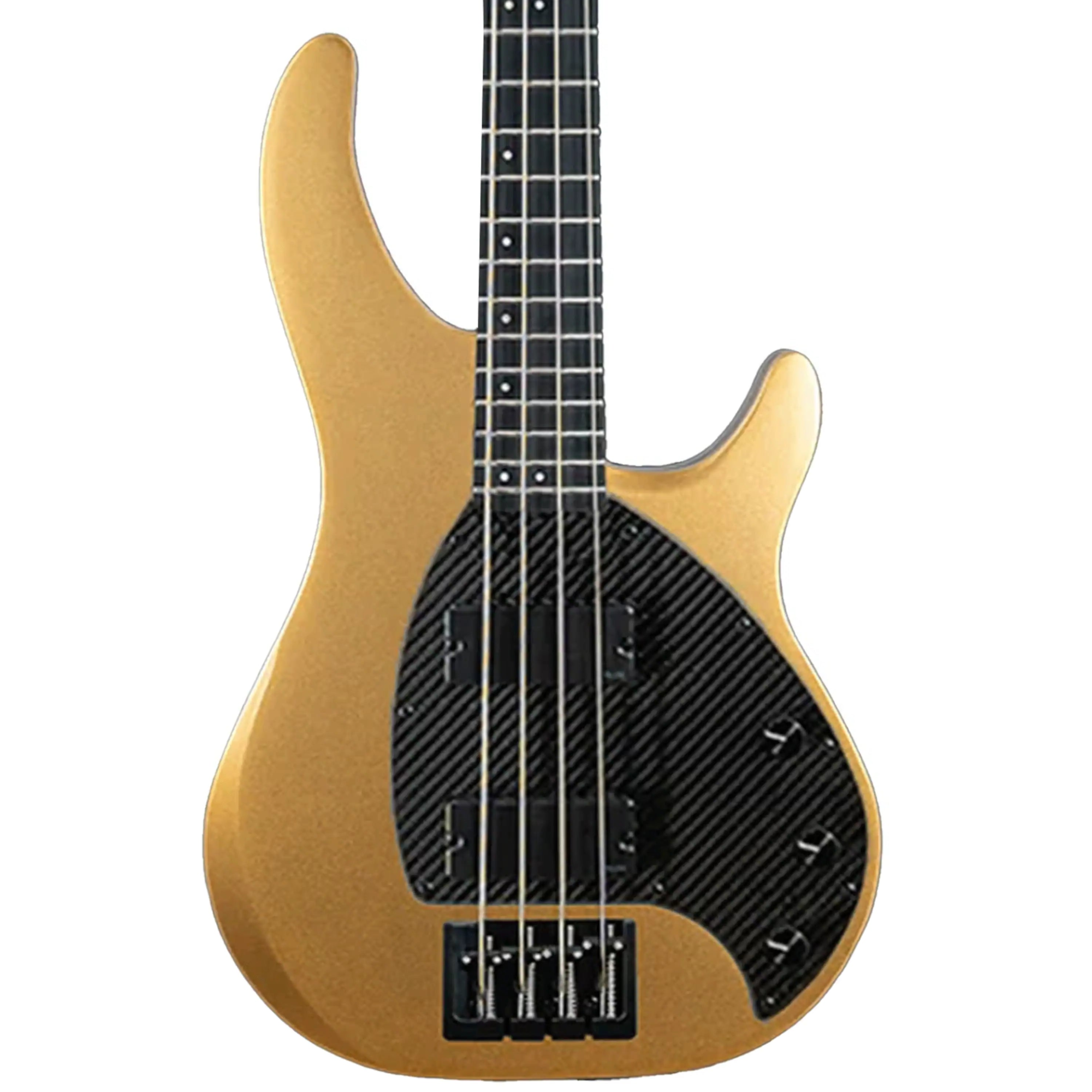 BASS_4CS_GOLD2 | Terry Carter Music Store