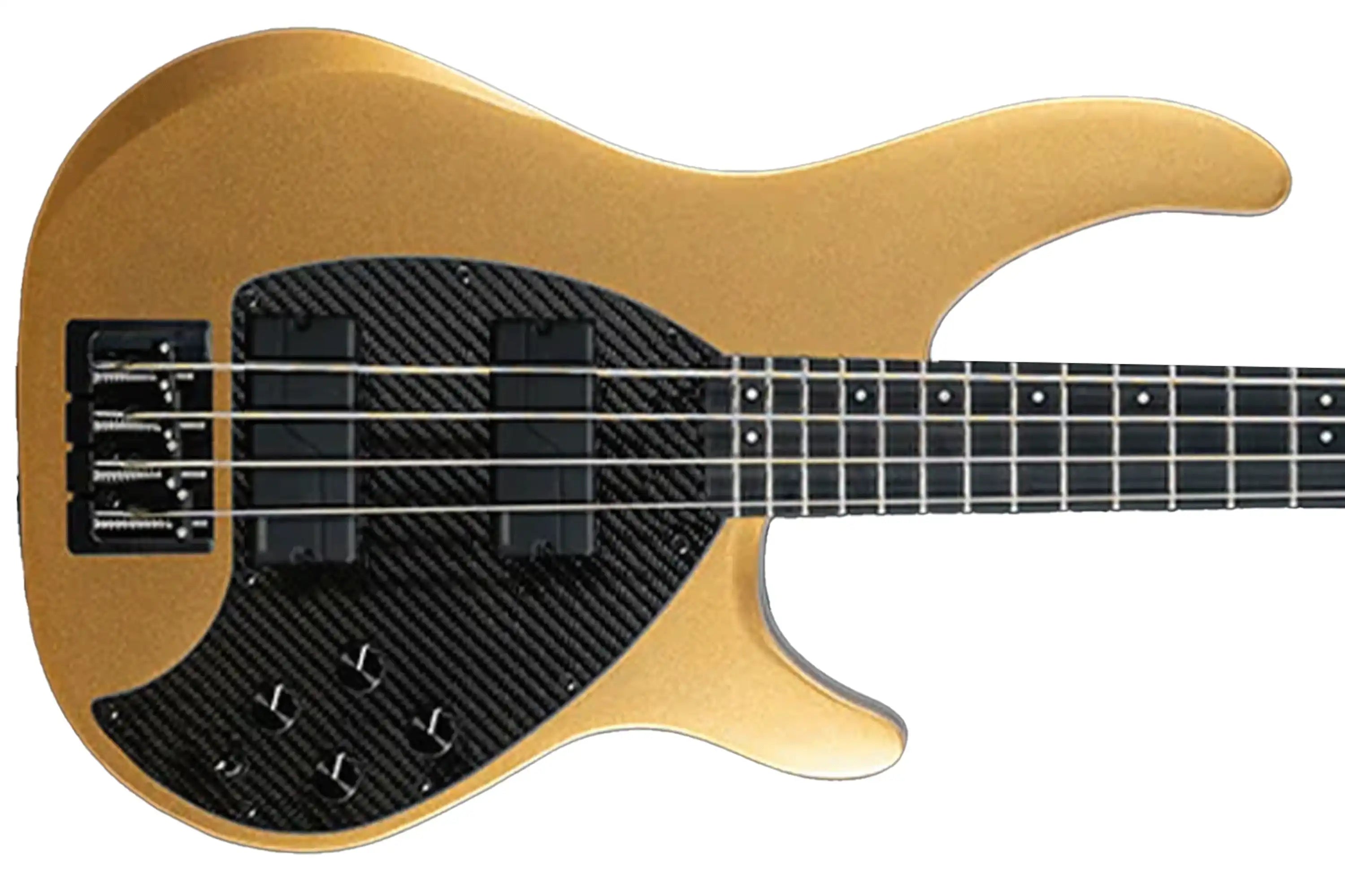 BASS_4CS_GOLD_UP_FISHMAN4KNOB2 | Terry Carter Music Store