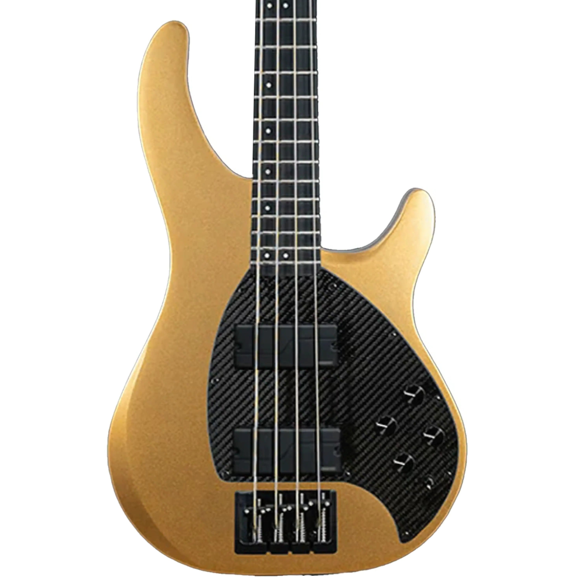 BASS_4CS_GOLD_UP_FISHMAN4KNOB2 | Terry Carter Music Store