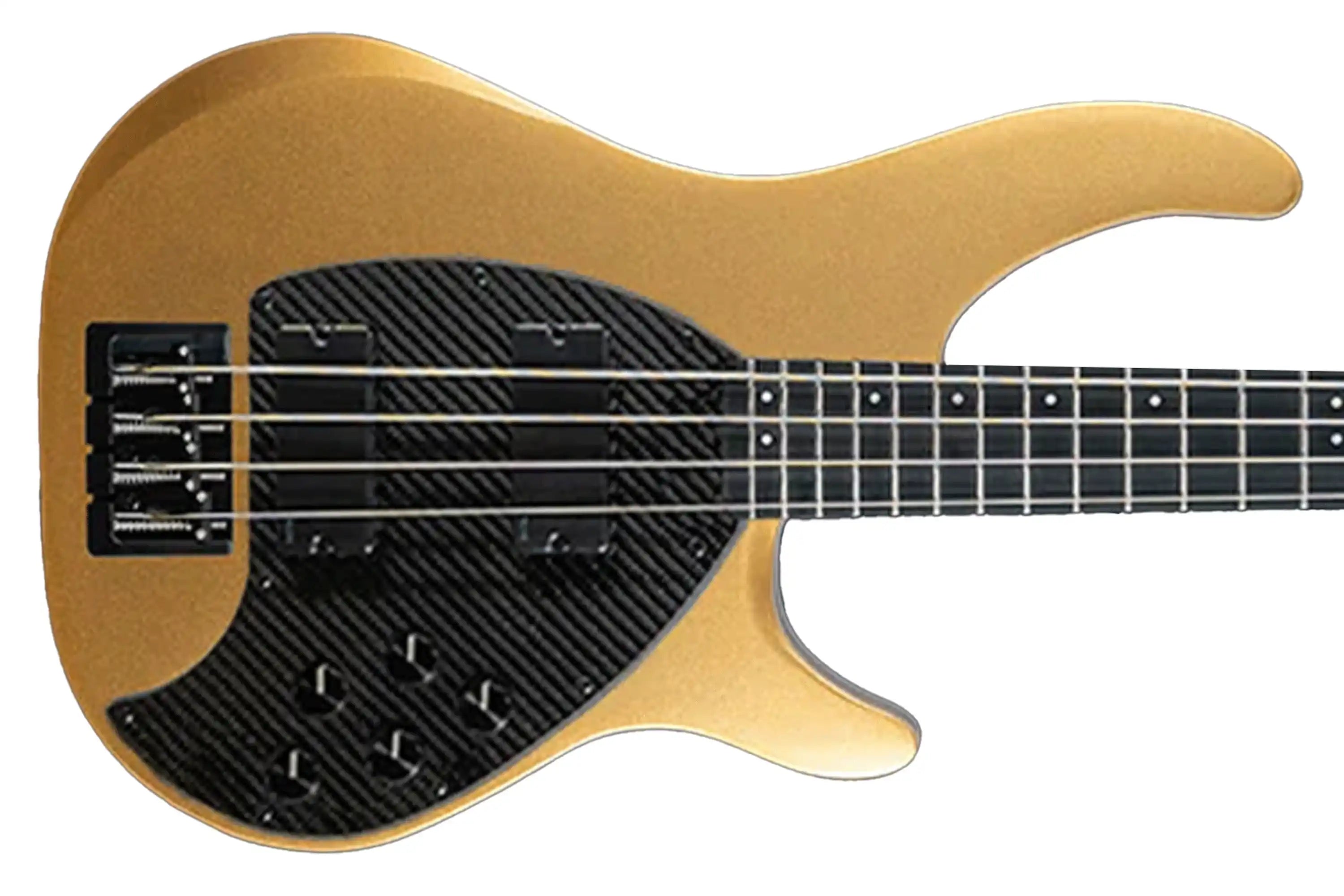 BASS_4CS_GOLD_UP_KLOS5KNOB_AP2 | Terry Carter Music Store