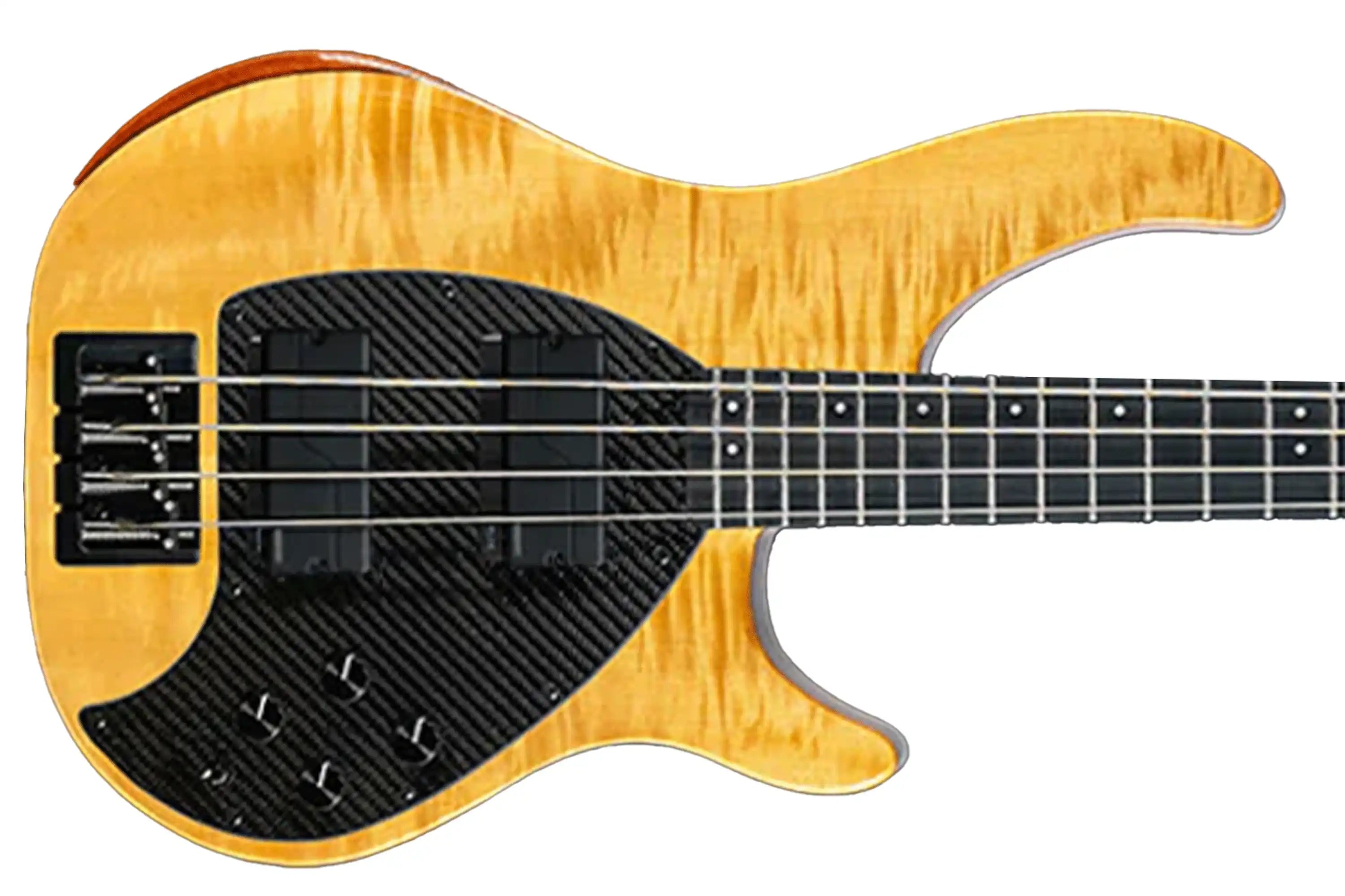 BASS_4CS_QIN_SAND_UP_FISHMAN4KNOB2 | Terry Carter Music Store