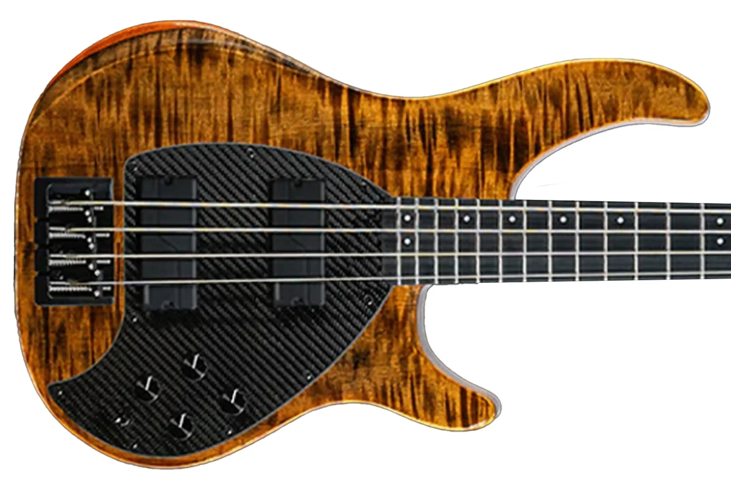BASS_4CS_QIN_TIG_UP_FISHMAN4KNOB2 | Terry Carter Music Store