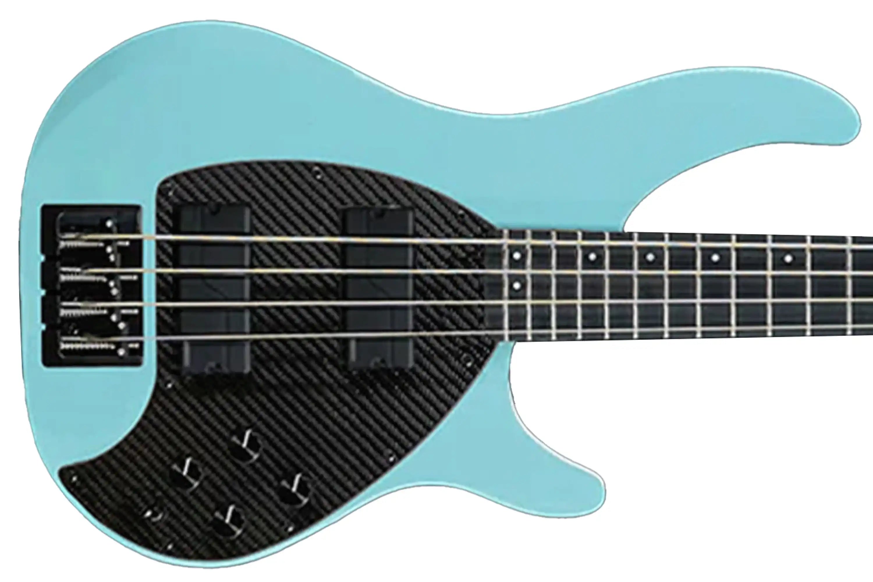 BASS_4CS_STONEBL_UP_FISHMAN4KNOB2 | Terry Carter Music Store