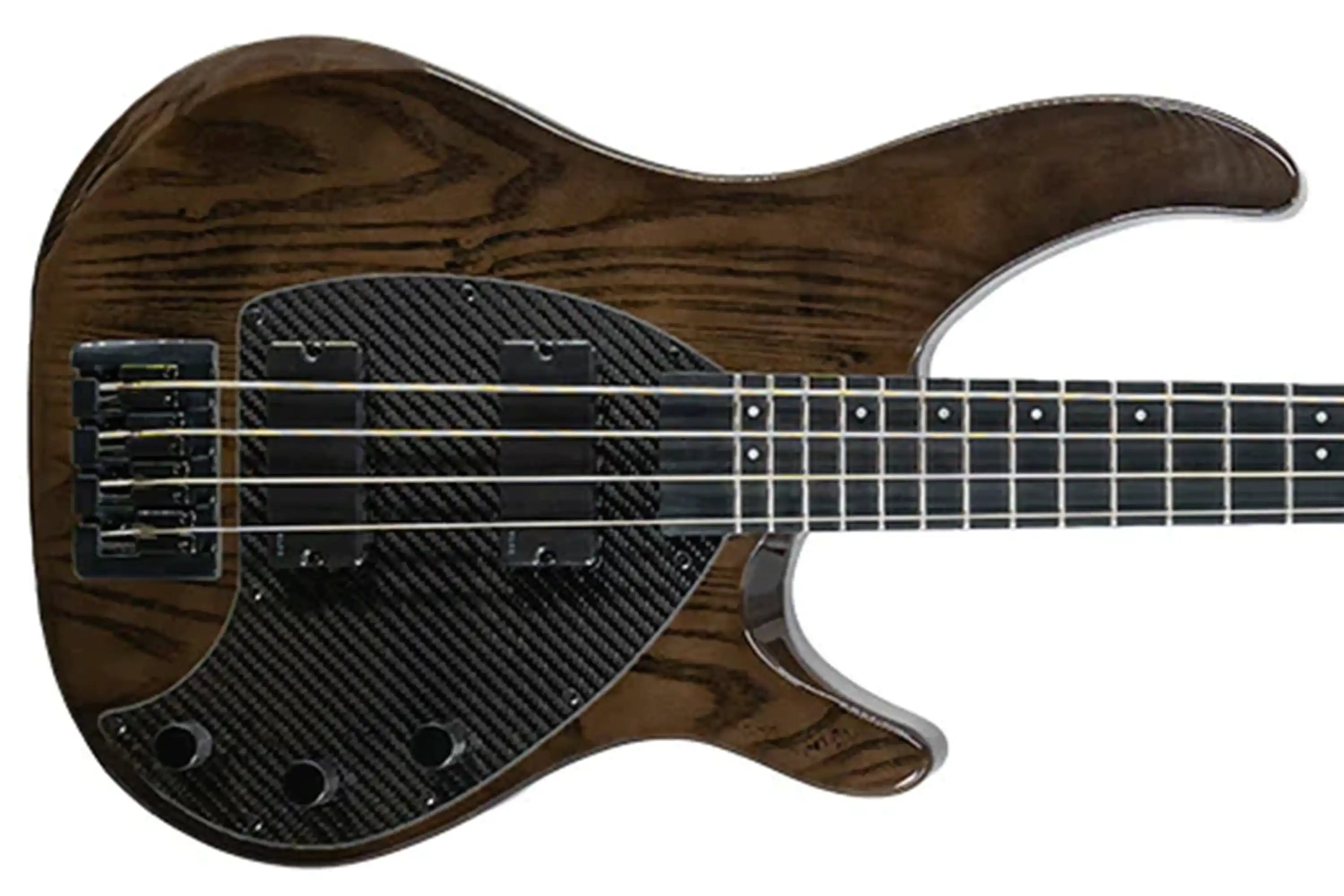 BASS_APOLLO-32 | Terry Carter Music Store
