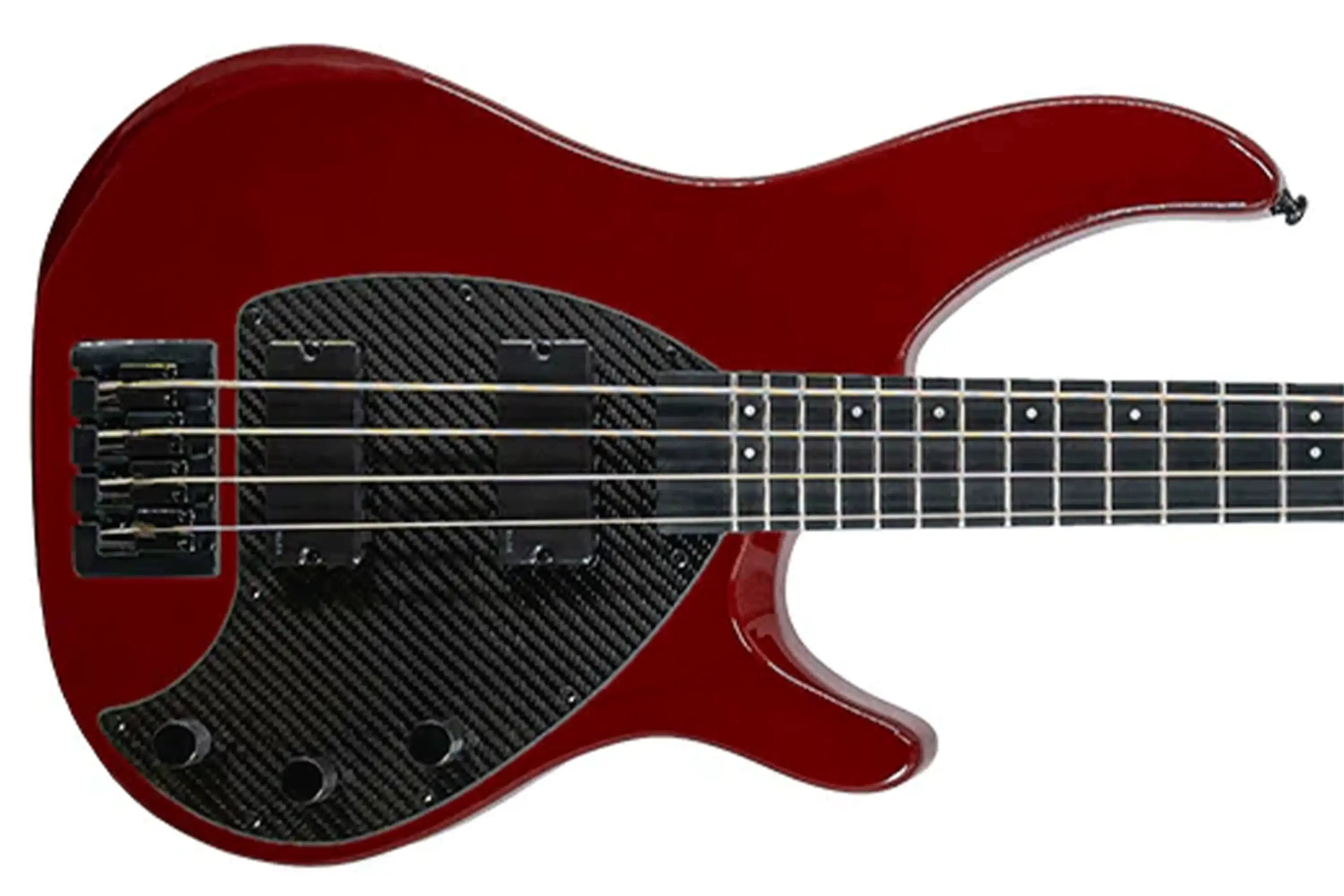 BASS_APOLLO-62 | Terry Carter Music Store