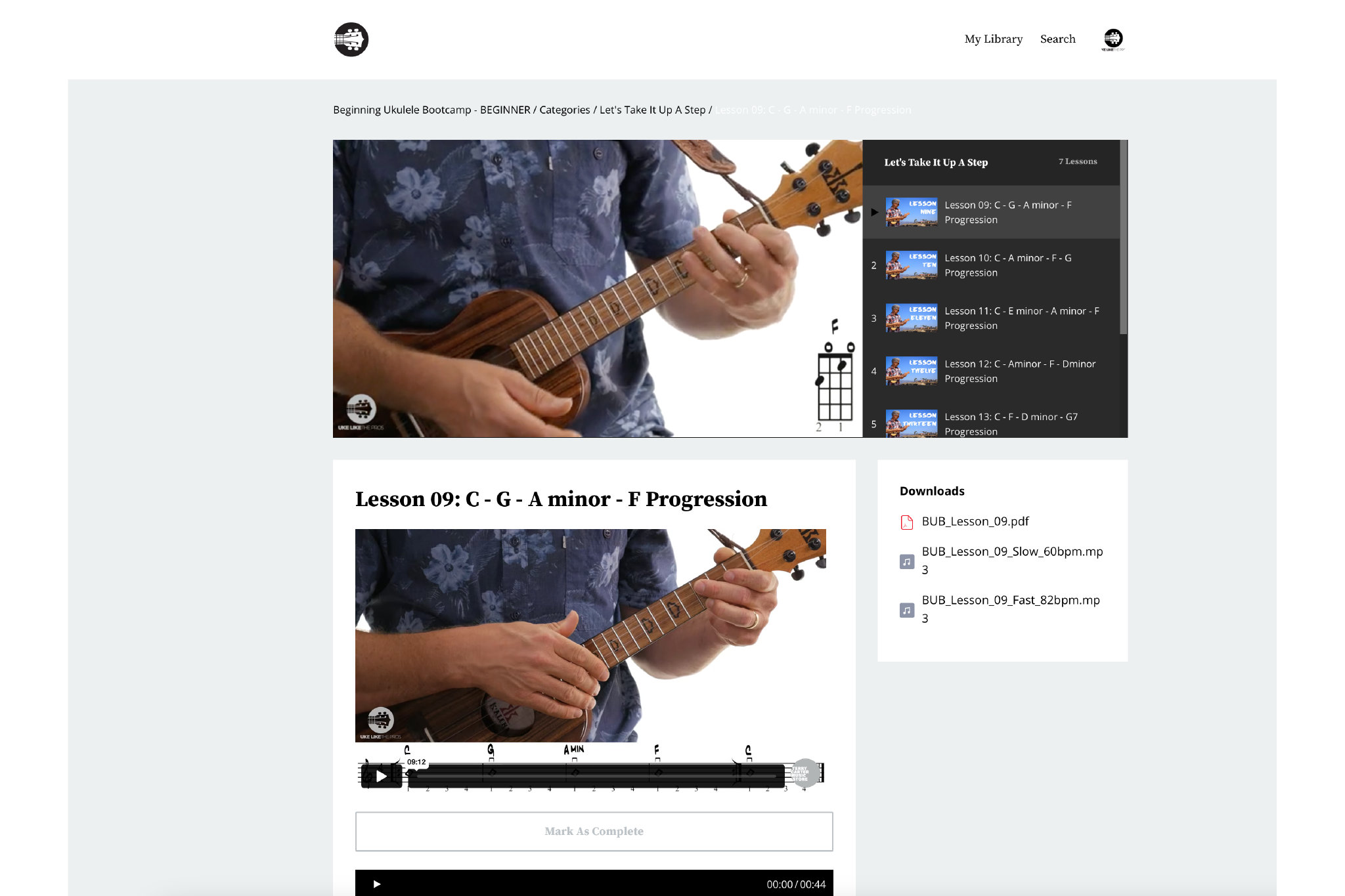 Beginning Ukulele Bootcamp Course