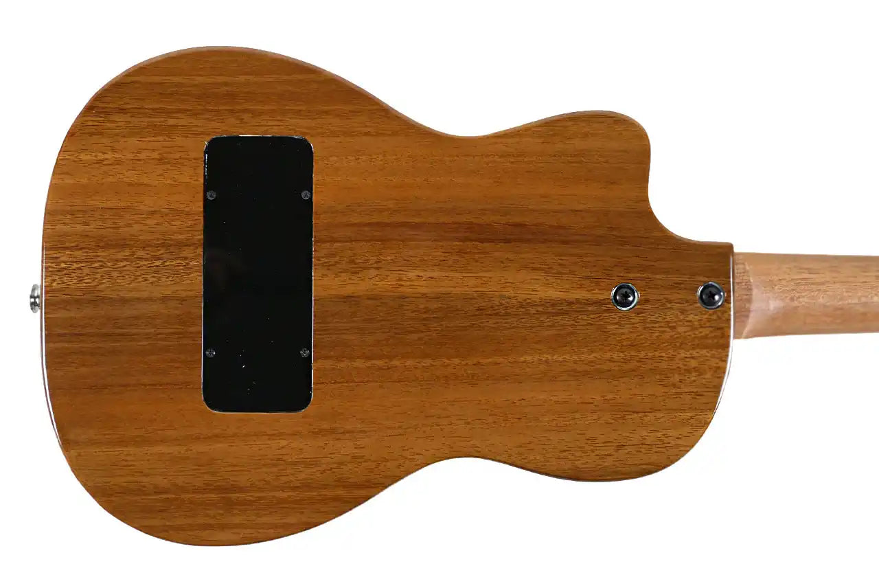 BE_D_4 | Terry Carter Music Store