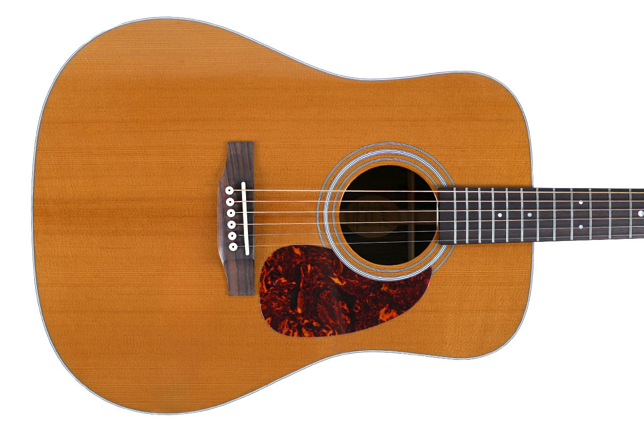 Bristol by Blueridge BL-160 Dreadnought Guitar