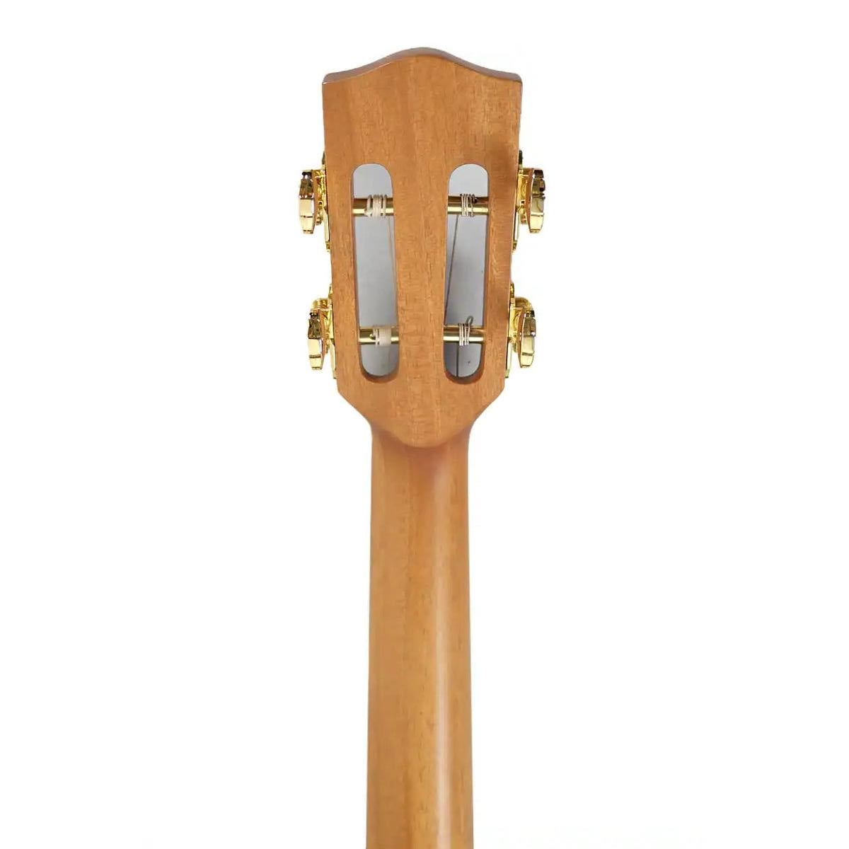 BN4_4_4_d53c8822-b11b-4374-9943-4a46f815e90d | Terry Carter Music Store