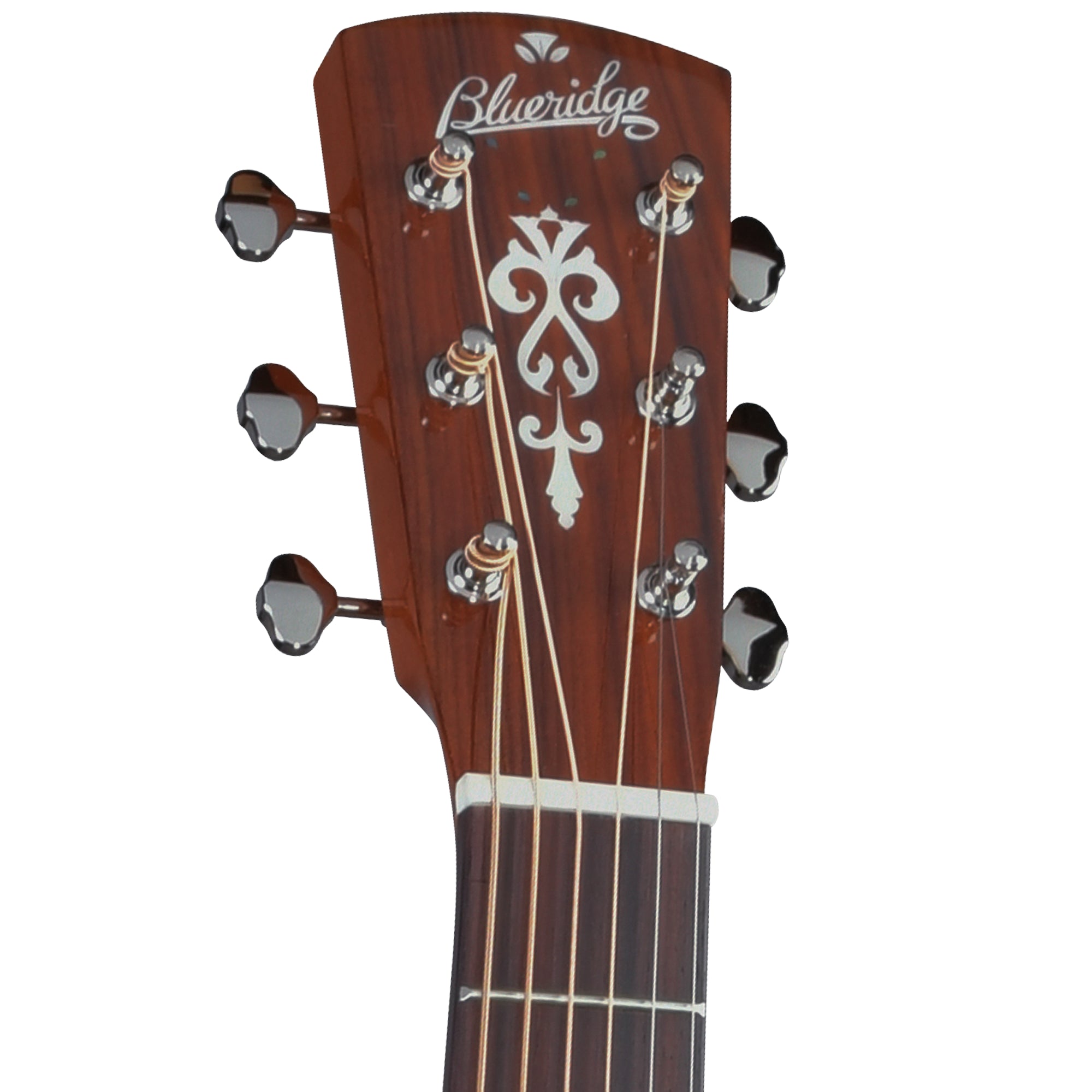 Close-up of the headstock of an acoustic guitar, showing the brand name 'Blueridge' in white script on a dark reddish-brown wood finish, with six tuning pegs and strings visible against a plain white background.