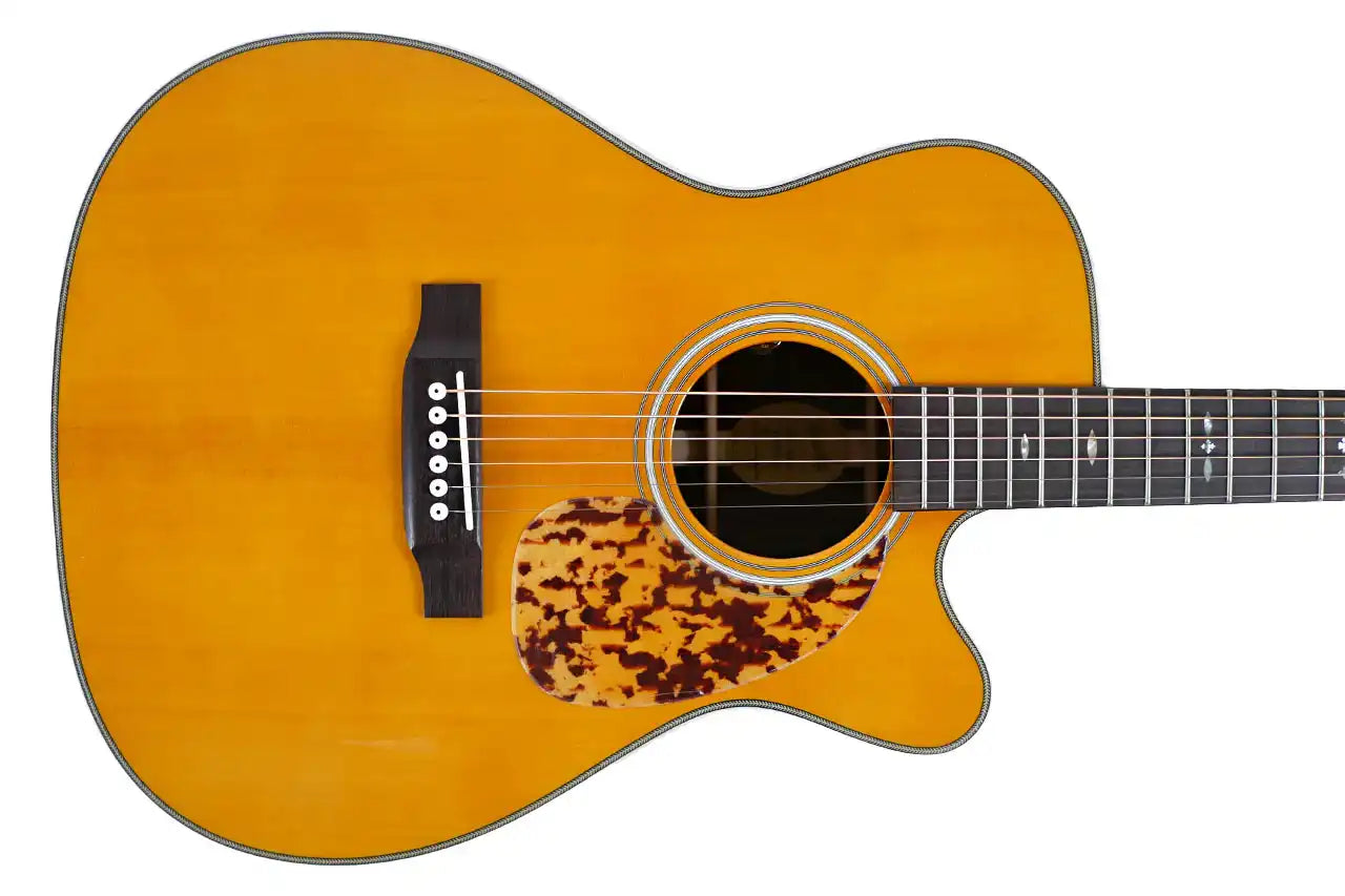 BR_163CE_1 | Terry Carter Music Store