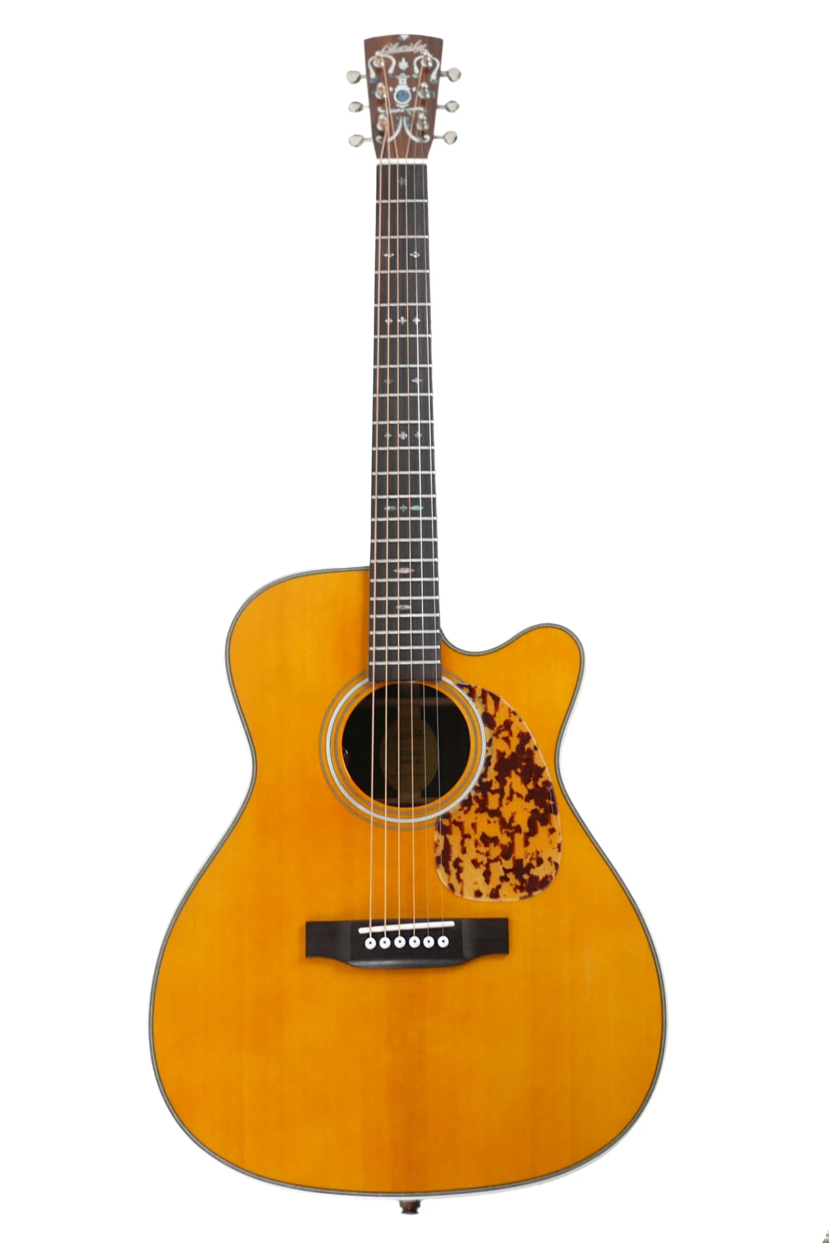 BR_163CE_5 | Terry Carter Music Store