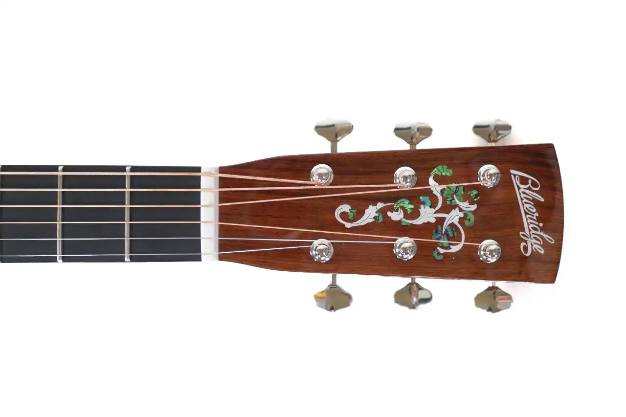 BR_240_2 | Terry Carter Music Store