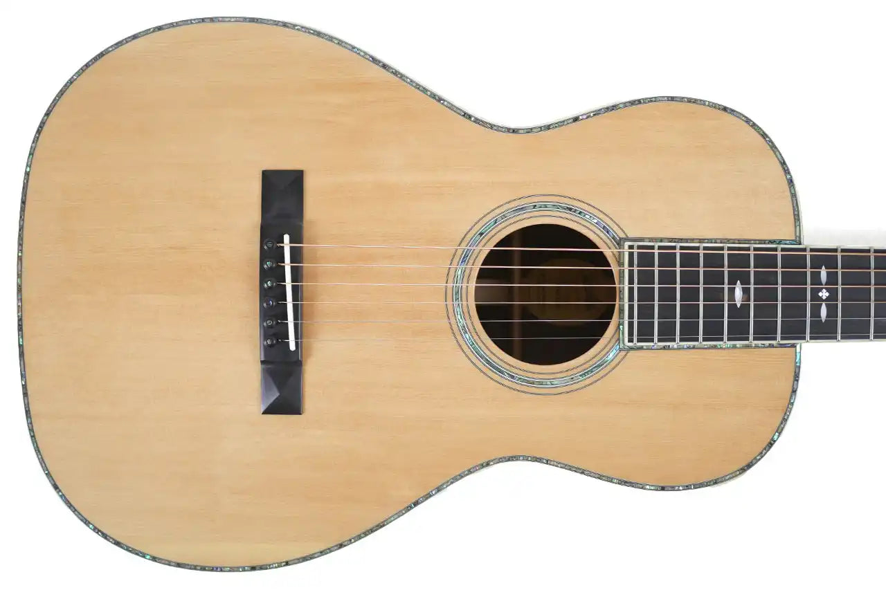 BR_371_2 | Terry Carter Music Store