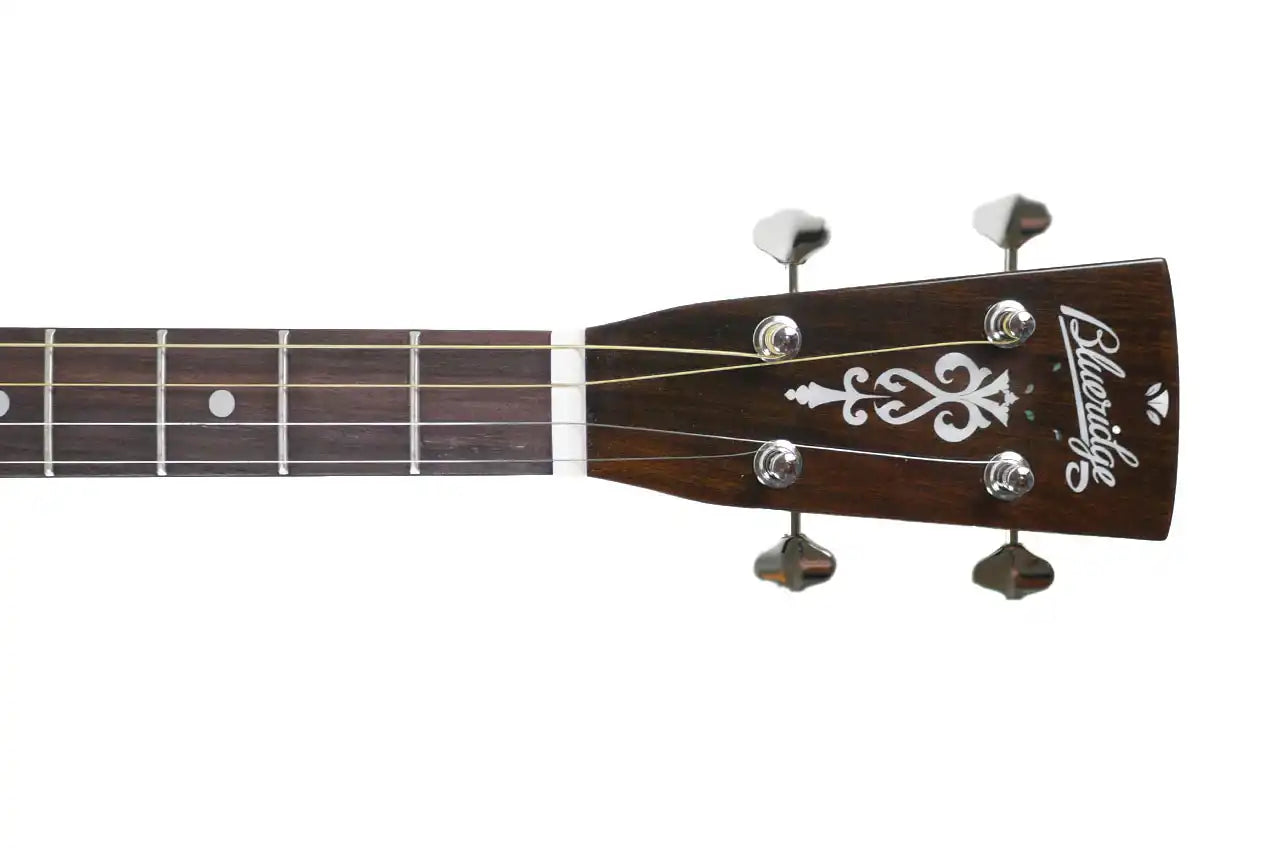 BR_60T_2 | Terry Carter Music Store