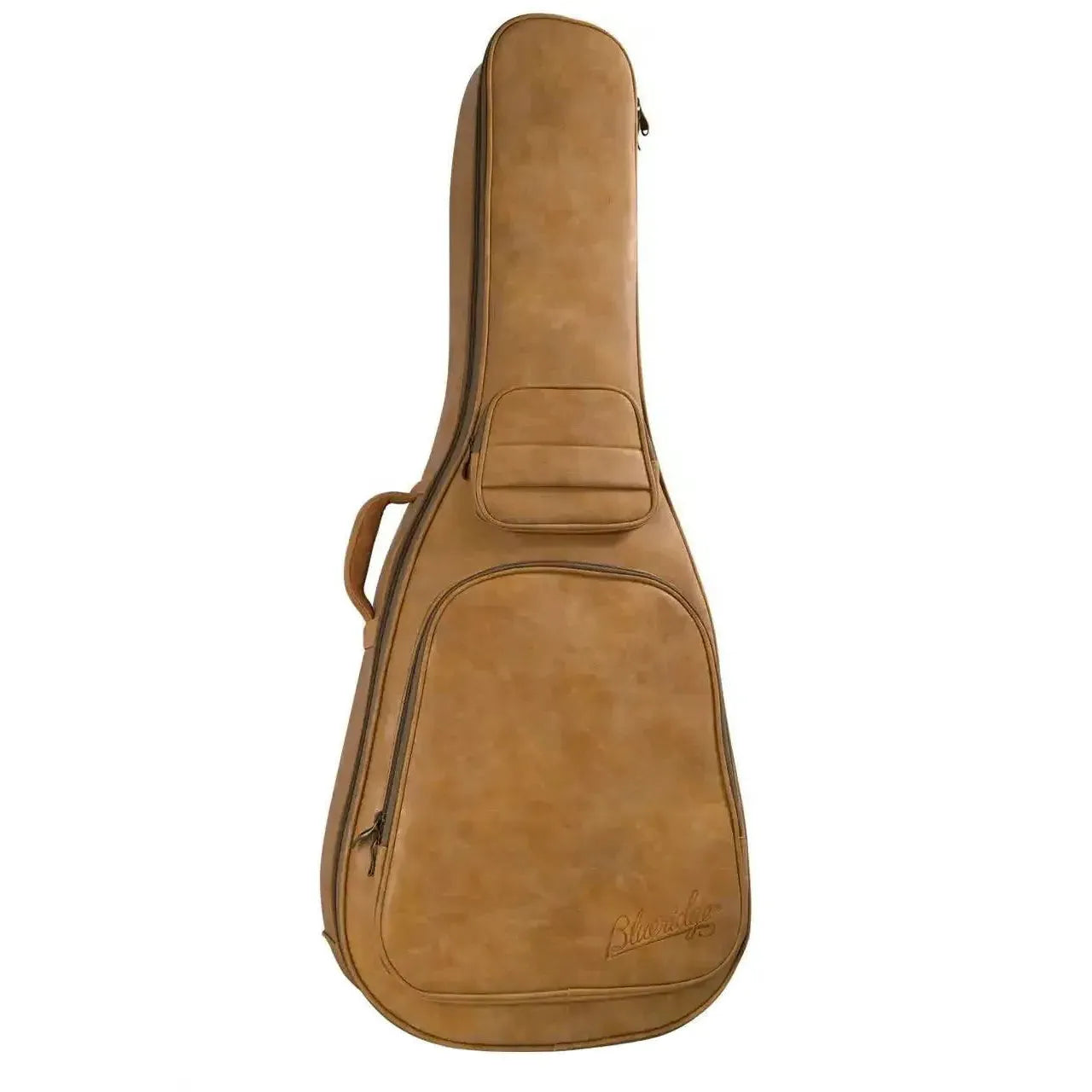 Blueridge_Case | Terry Carter Music Store