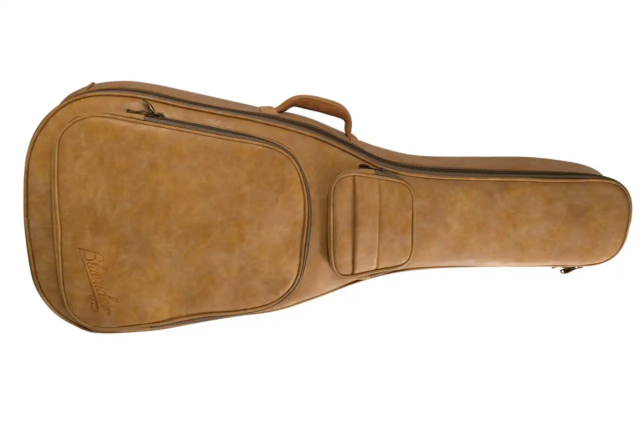 Blueridge_Case_e0d52c8e-ac93-429c-a268-2521667ad7a4 | Terry Carter Music Store