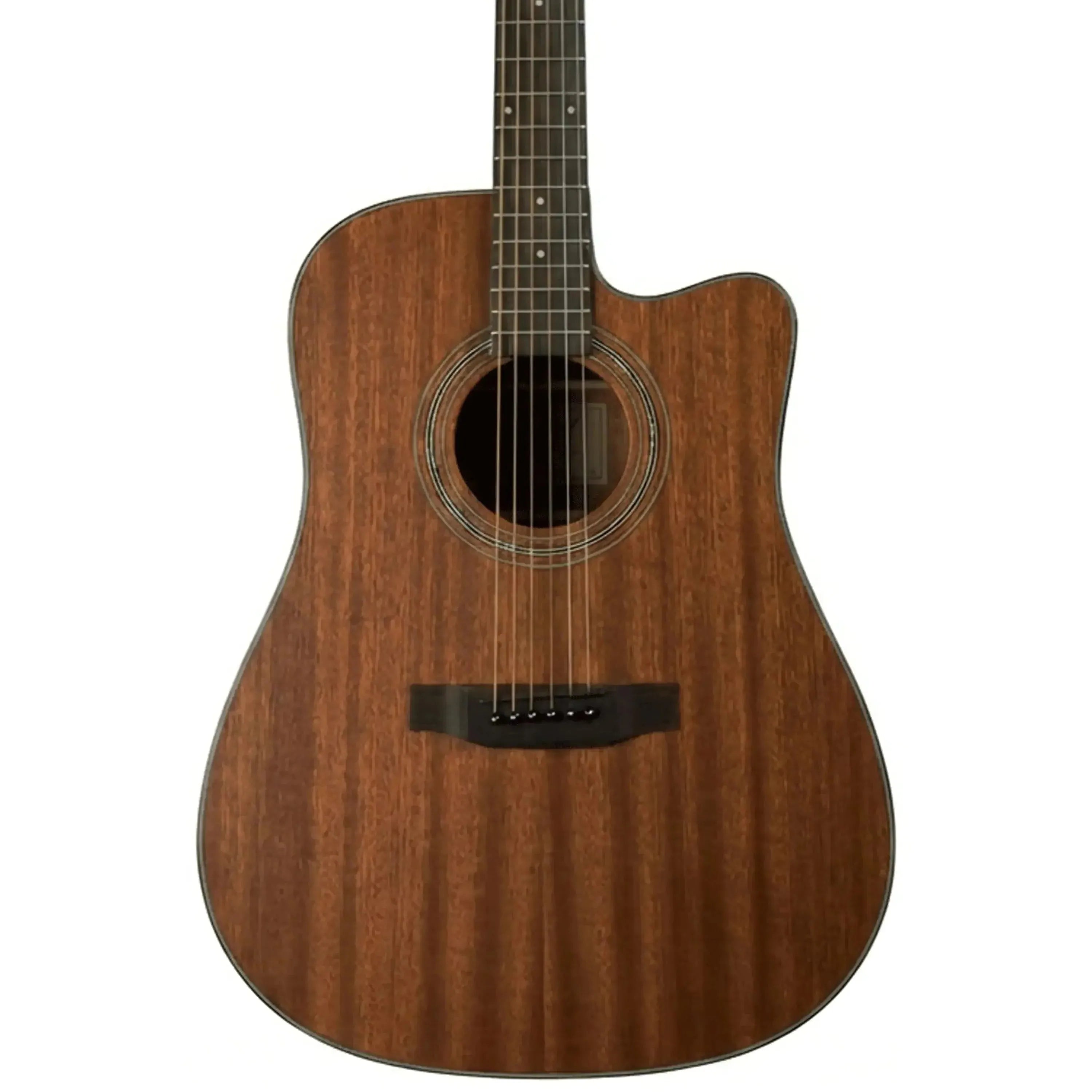 Bristol-BD-15CE-Acoustic-Electric-Guitar2 | Terry Carter Music Store