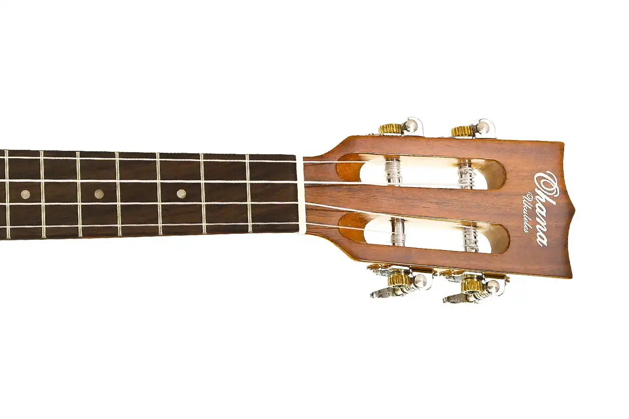 CK-250G-2 | Terry Carter Music Store