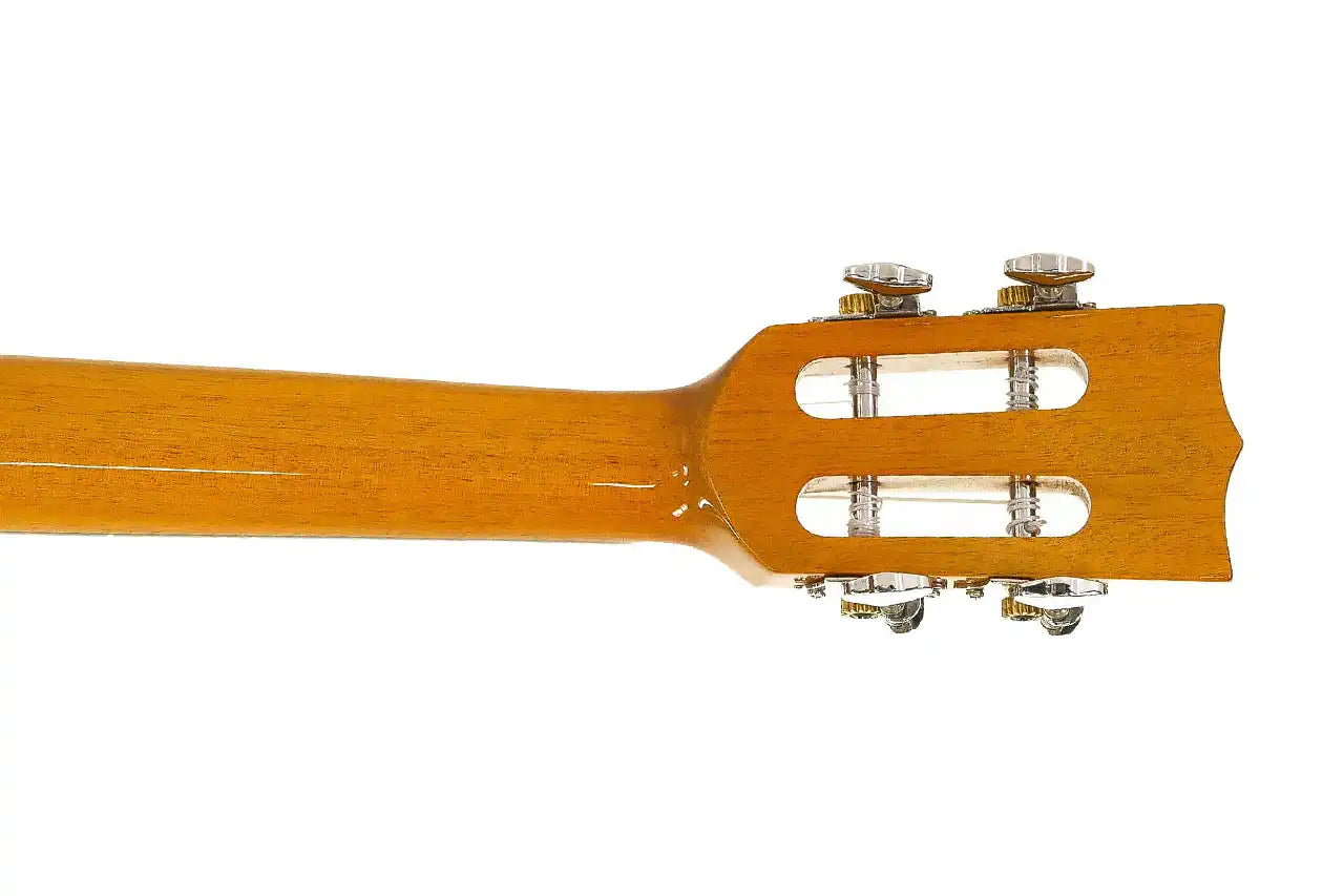 CK-250G-4 | Terry Carter Music Store