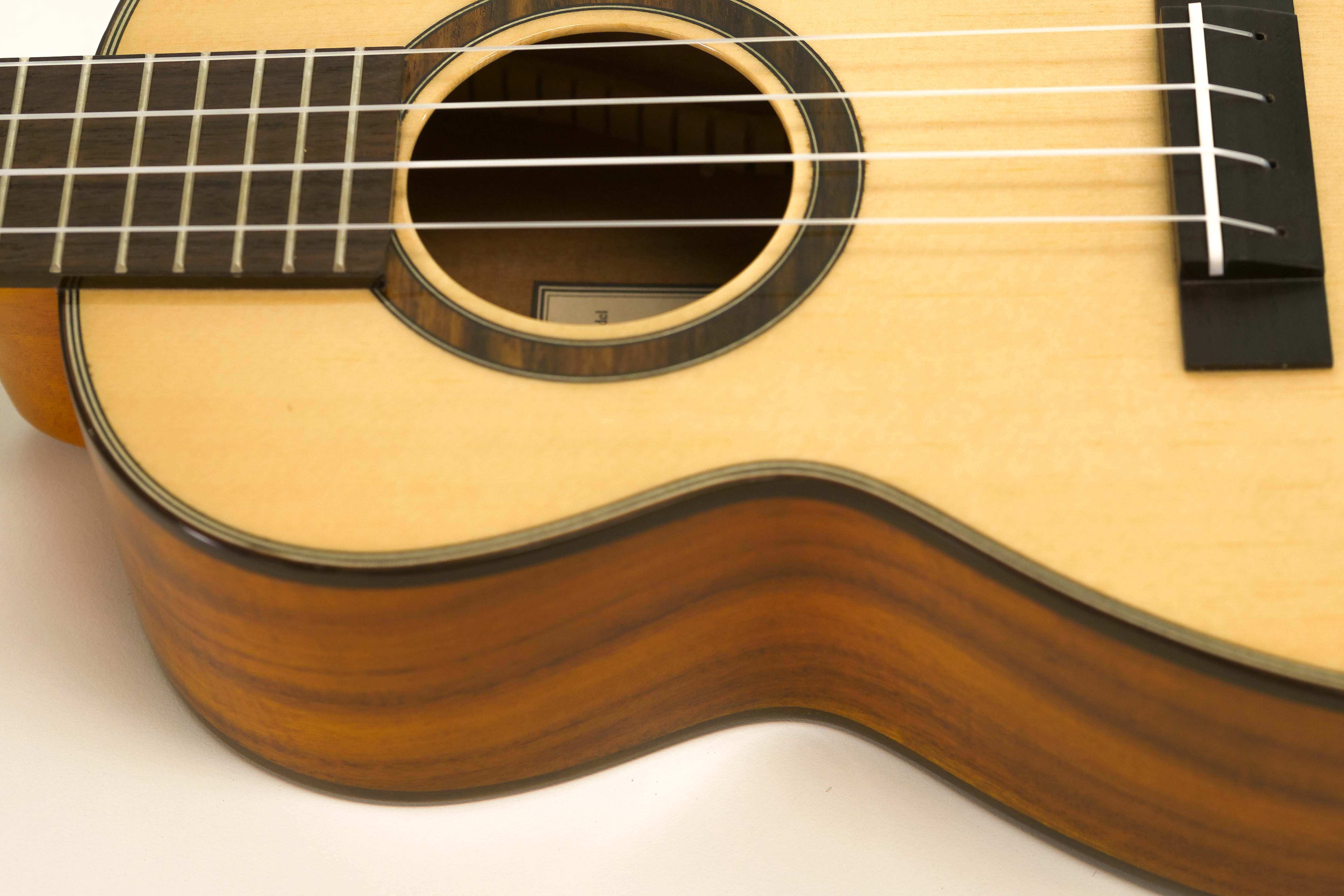 CK-250G6 | Terry Carter Music Store