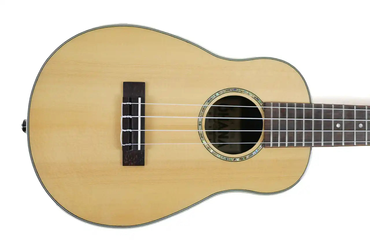 CK-70RB-1 | Terry Carter Music Store