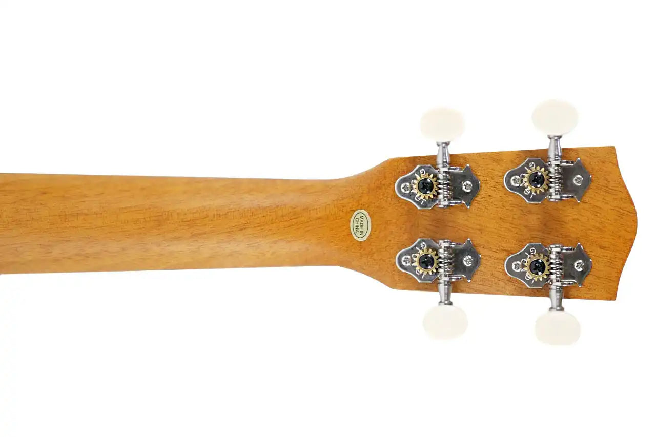 CKS_22E_4 | Terry Carter Music Store