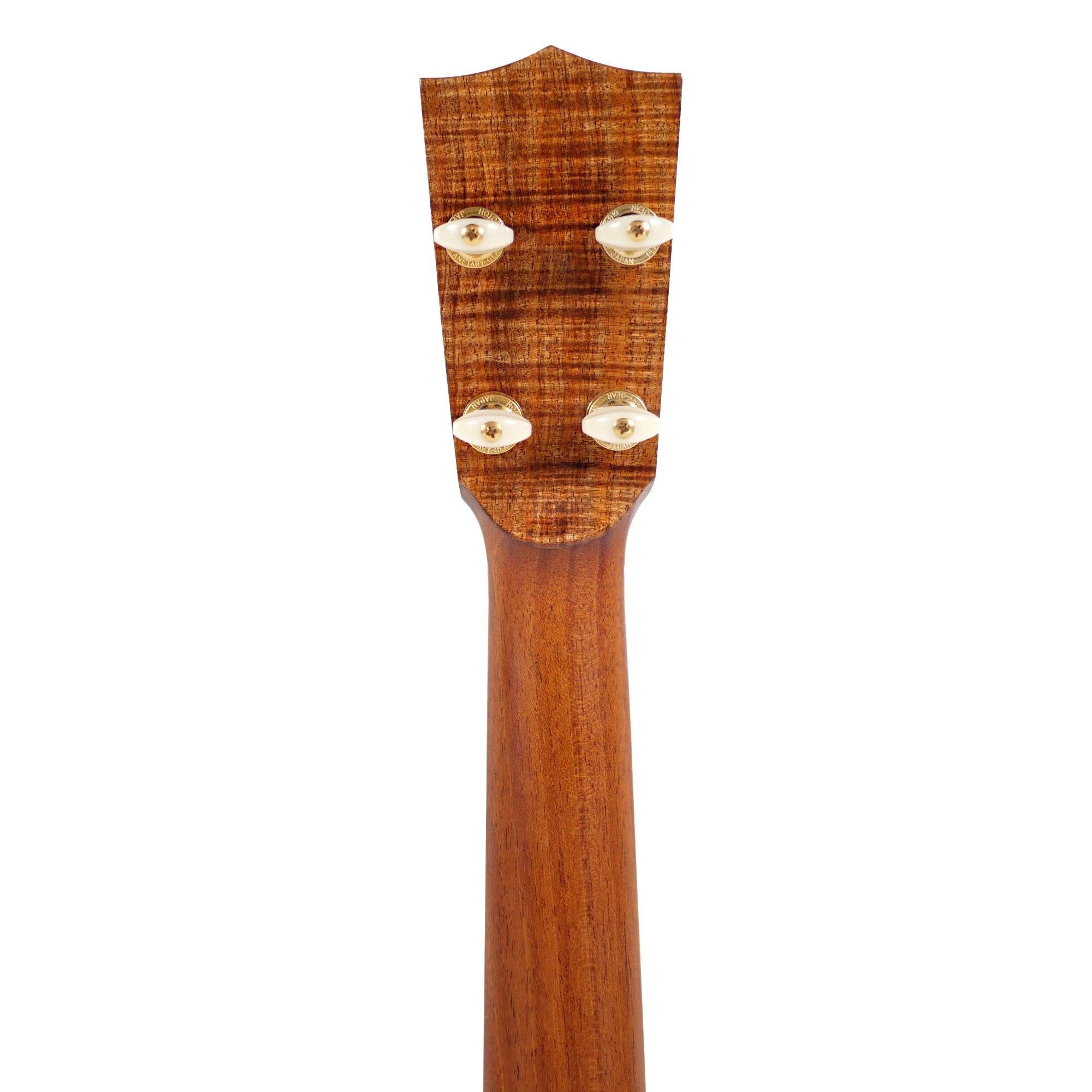 Coast #112 2026 Curly Hawaiian Koa Tenor Ukulele