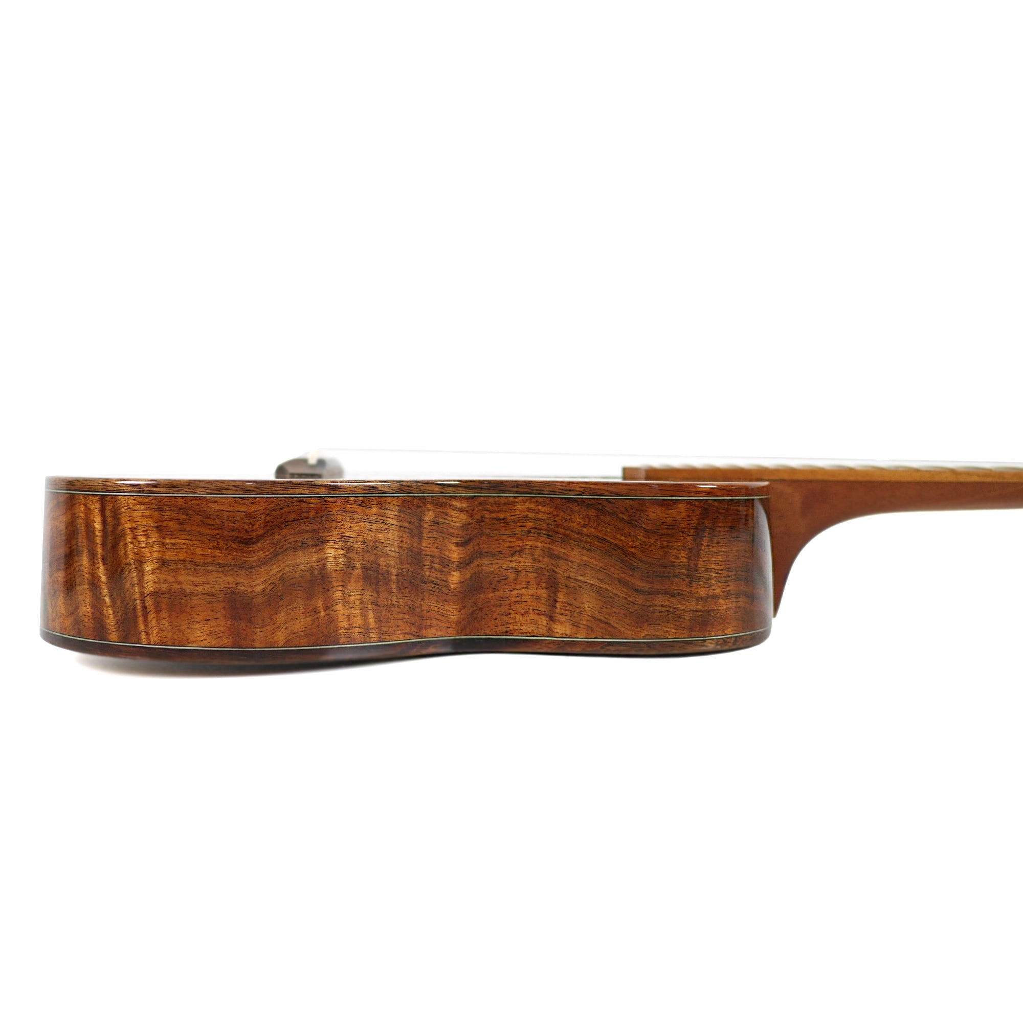 Coast #112 2026 Curly Hawaiian Koa Tenor Ukulele