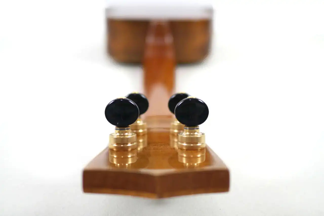 Coast-Custom-8 | Terry Carter Music Store