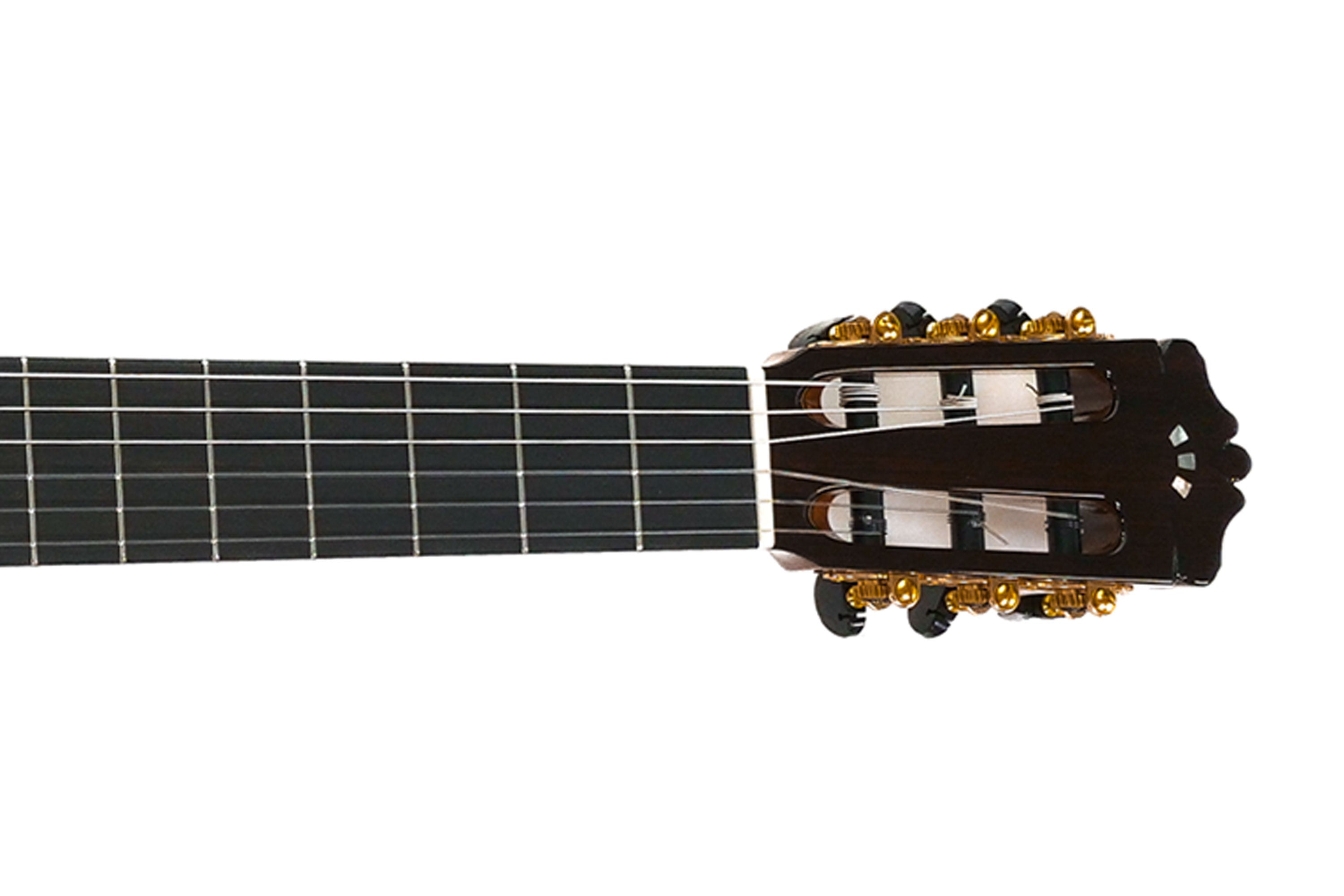 Cordoba C10 CD Classical Nylon Guitar