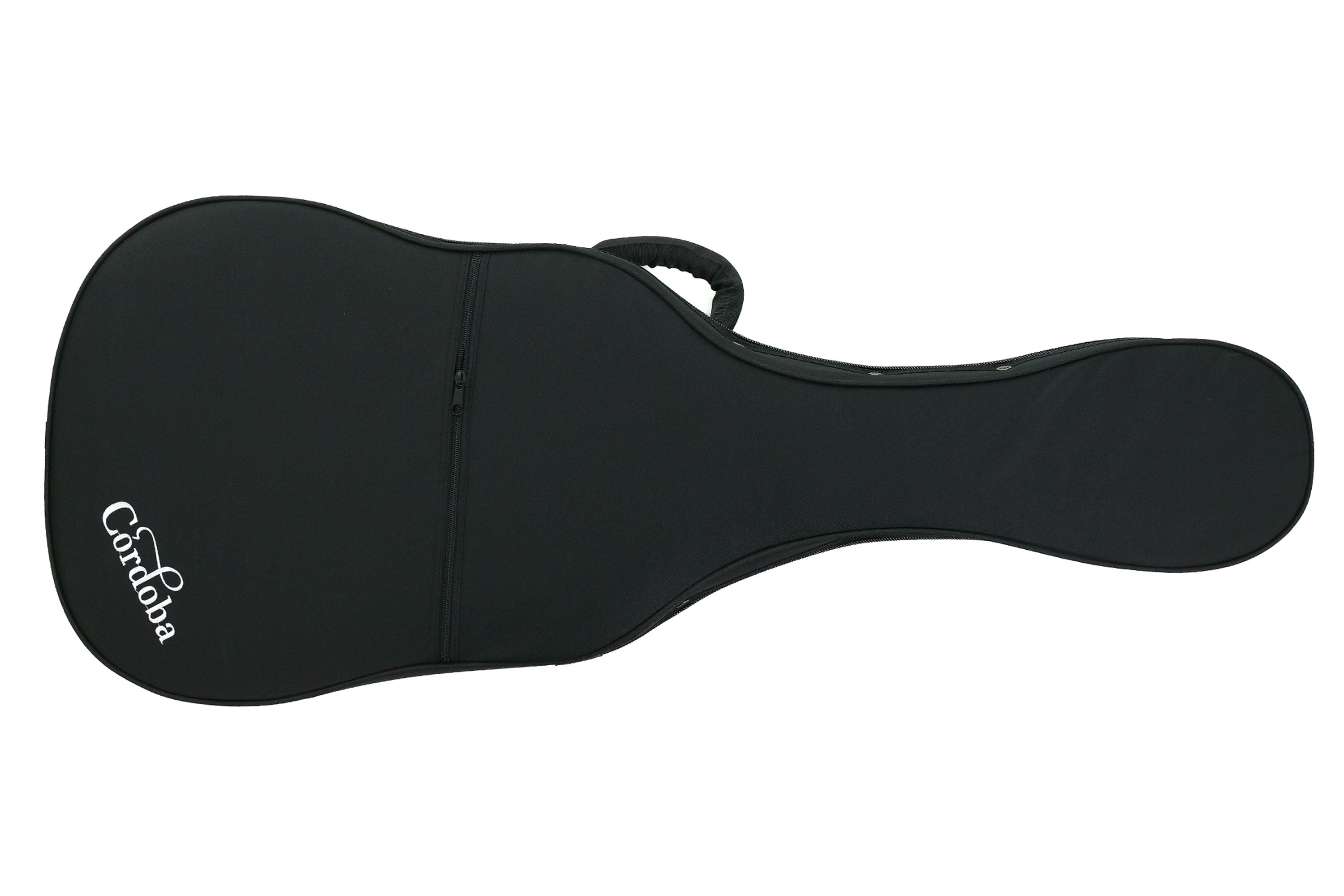 Cordoba C10 CD Classical Nylon Guitar