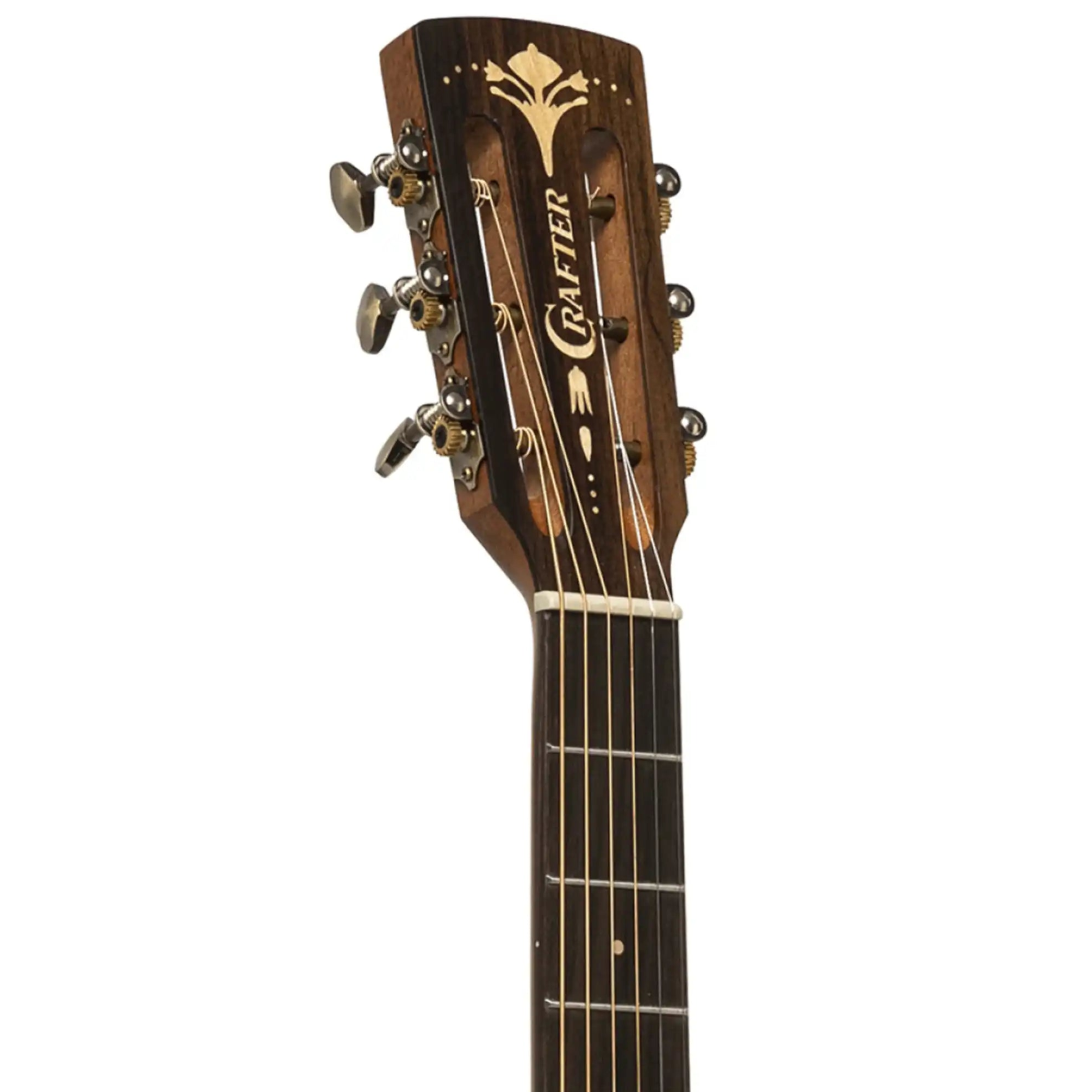 Crafter-Big-Mino-BK-WLN5 | Terry Carter Music Store