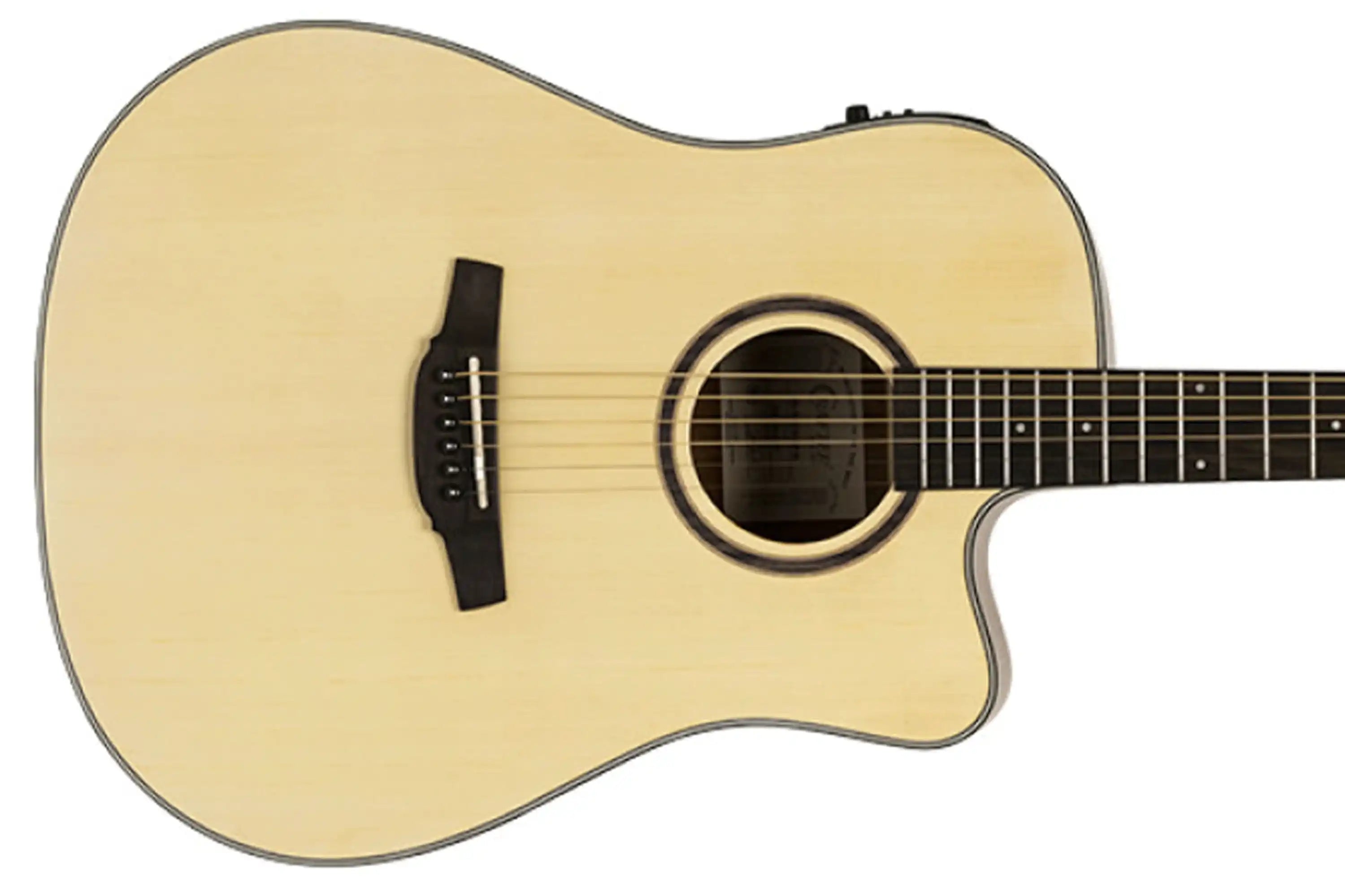 Crafter-HD100-CE-N-Acoustic-Electric-Guitar2 | Terry Carter Music Store