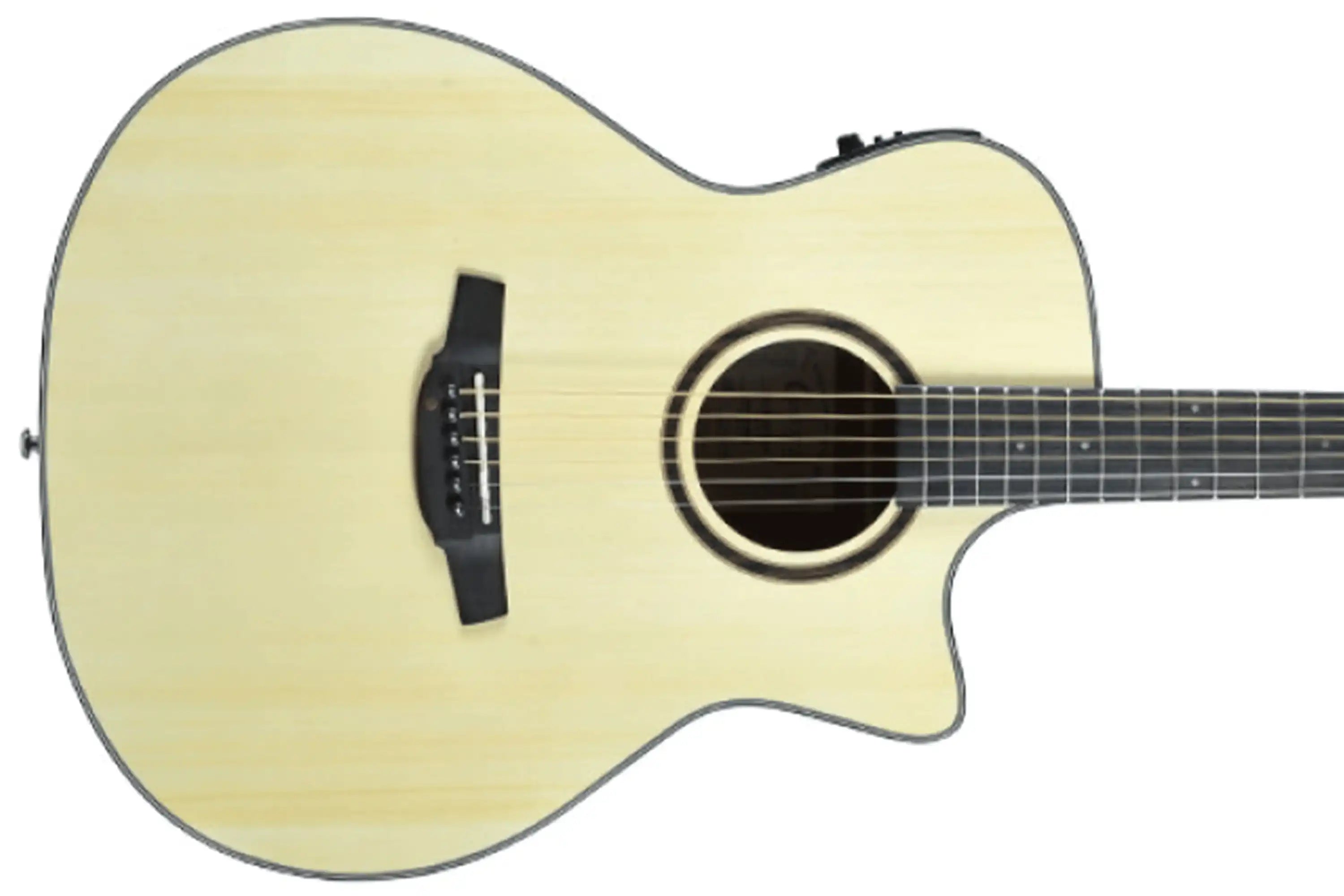Crafter-HG100-CE-N-Acoustic-Electric-Guitar1 | Terry Carter Music Store