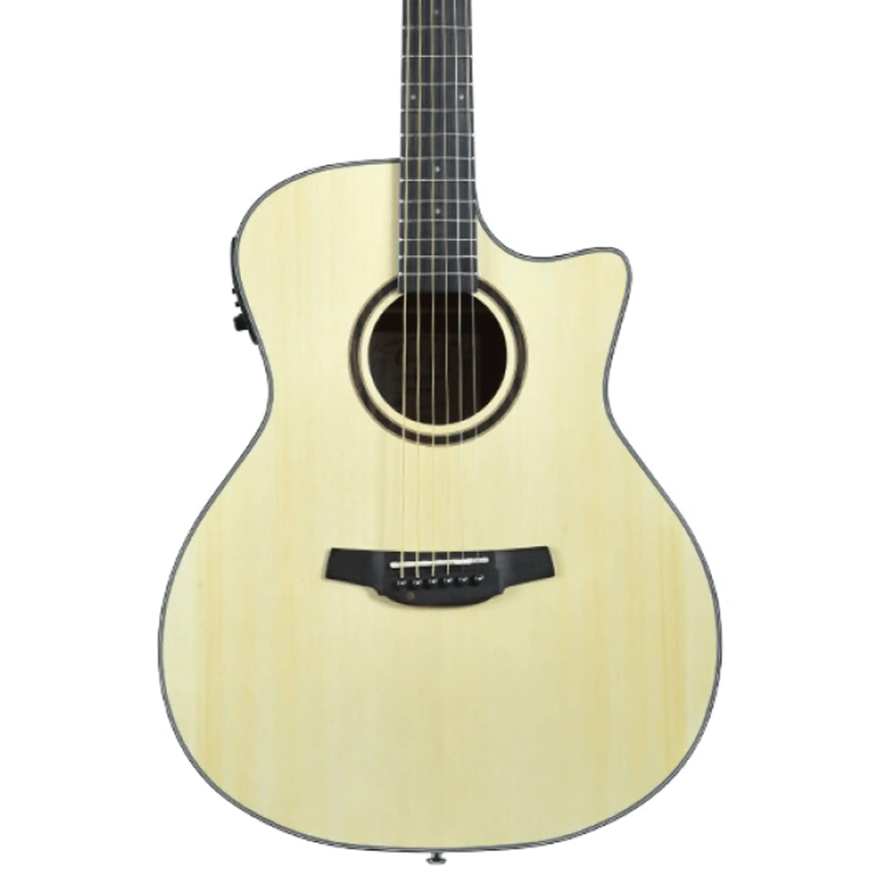 Crafter-HG100-CE-N-Acoustic-Electric-Guitar1 | Terry Carter Music Store