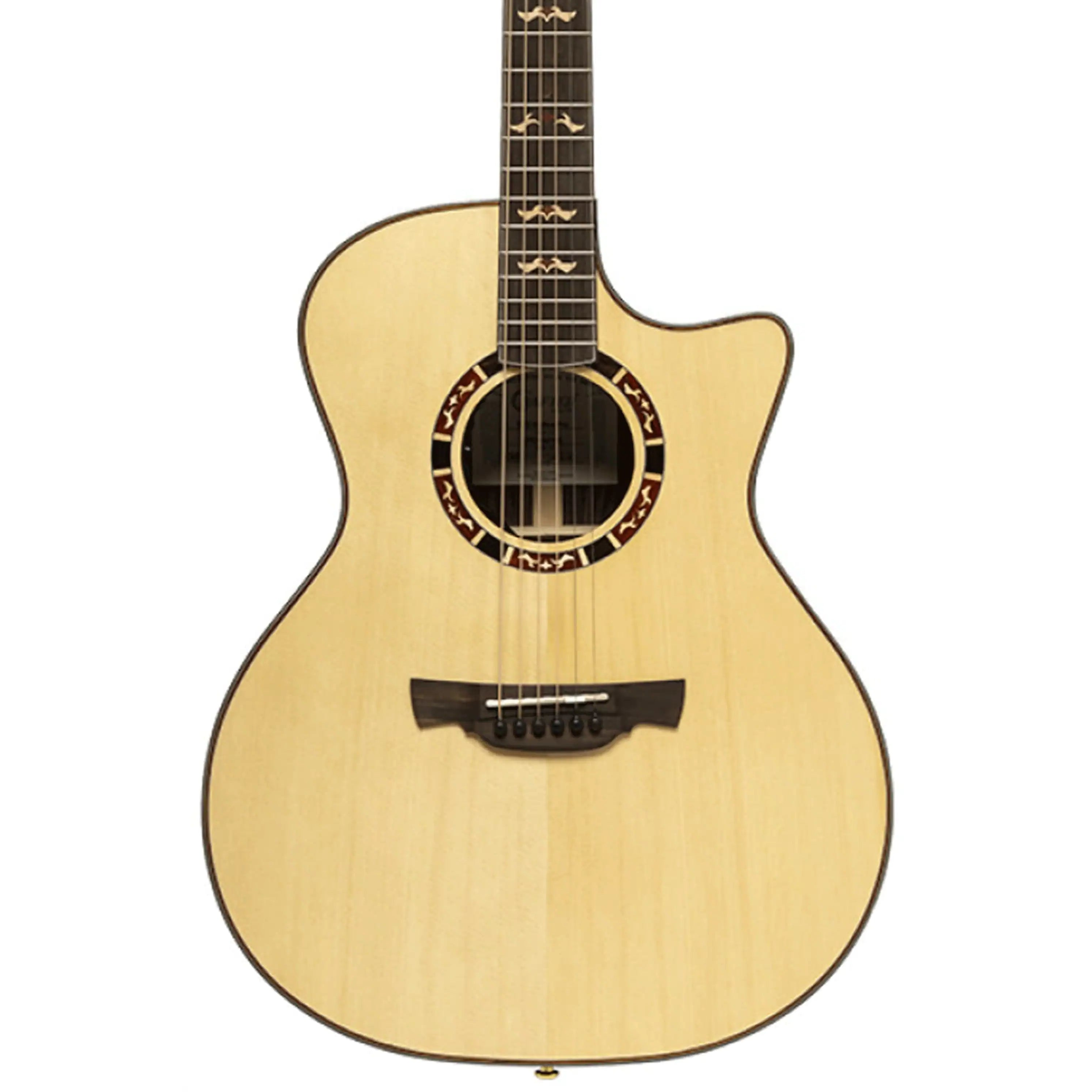 Crafter-STG-D20CE-PRO-Acoustic-Electric-Guitar1 | Terry Carter Music Store