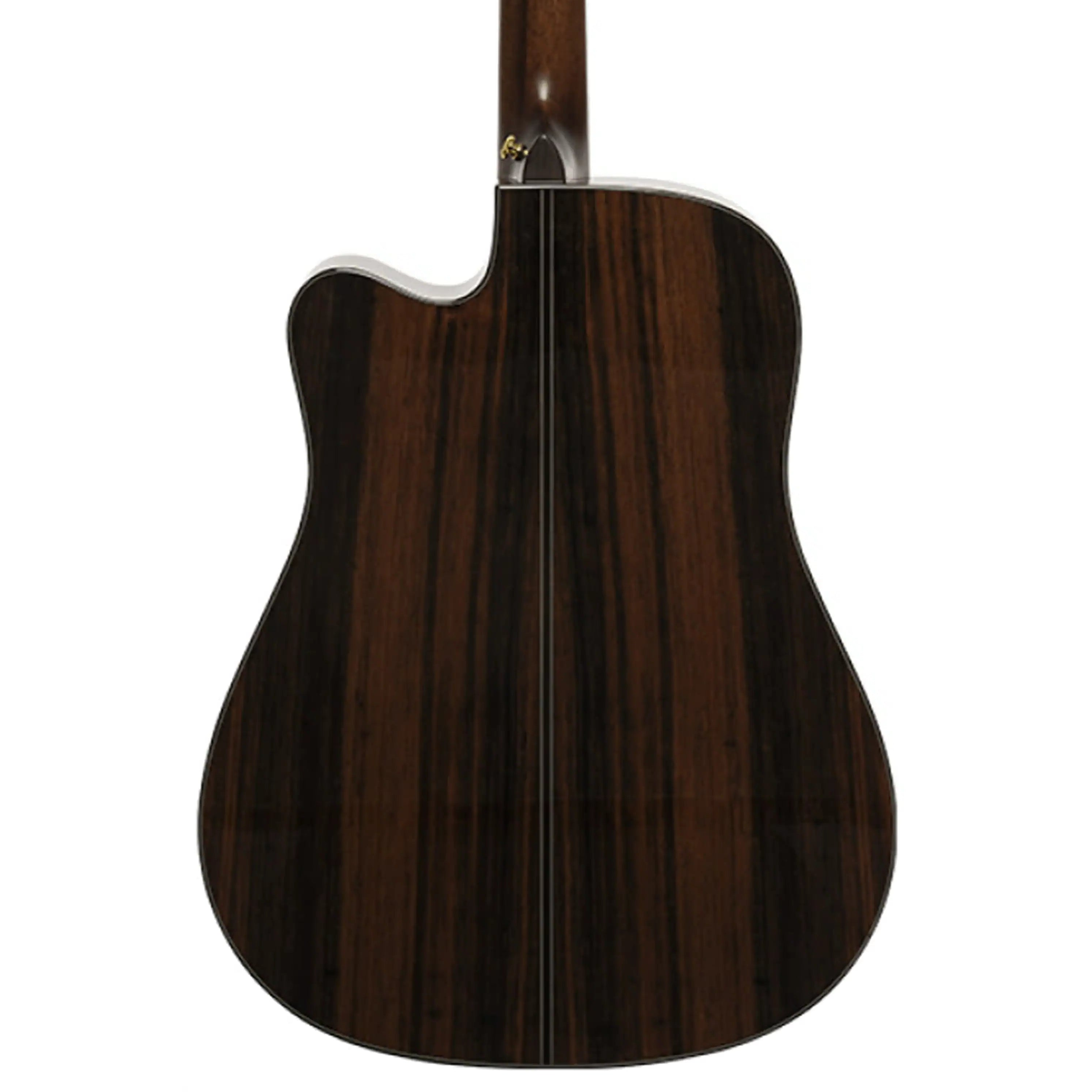 Crafter-STG-D22CE-PRO-Acoustic-Electric-Guitar2 | Terry Carter Music Store