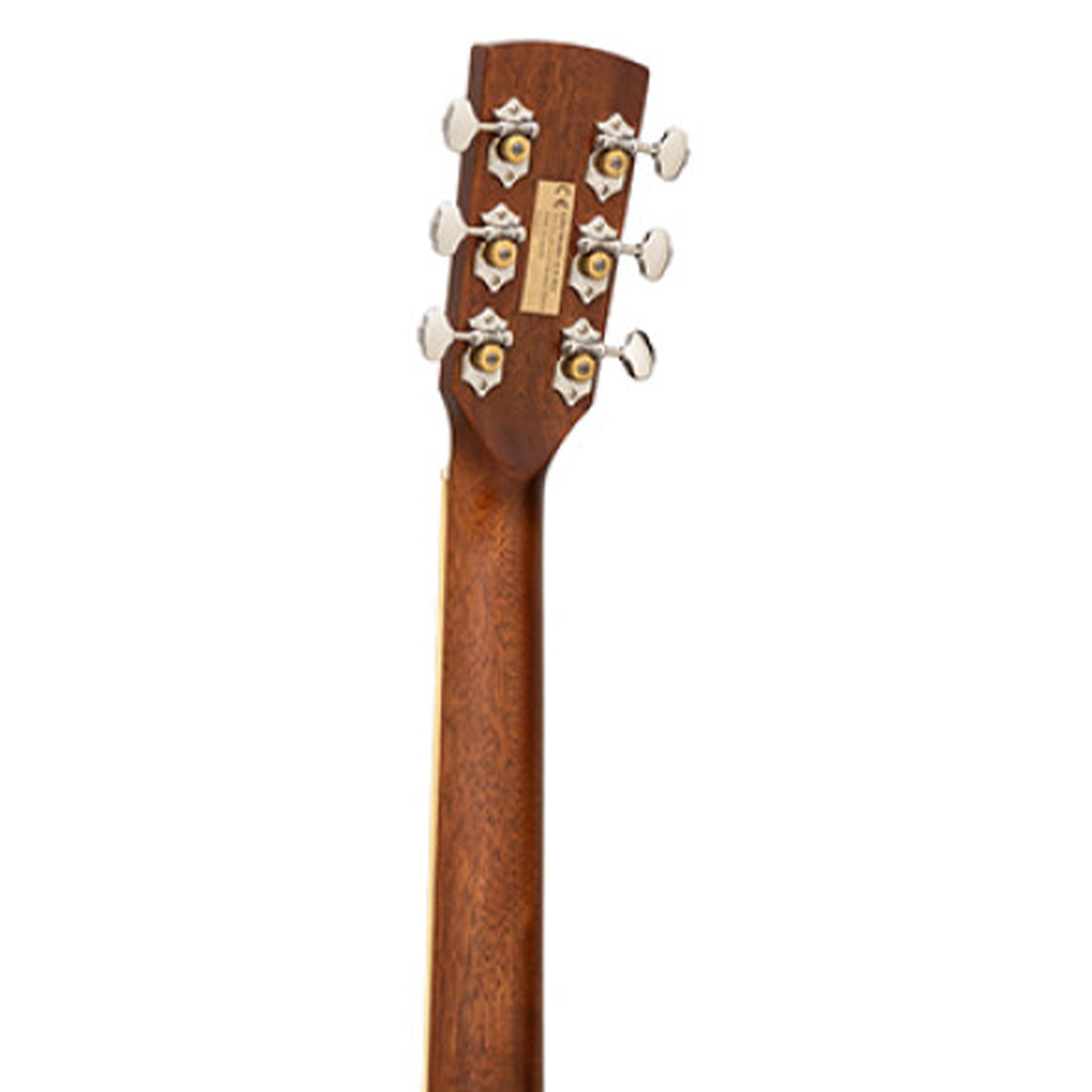 Close-up of a guitar headstock with tuning pegs on a white background