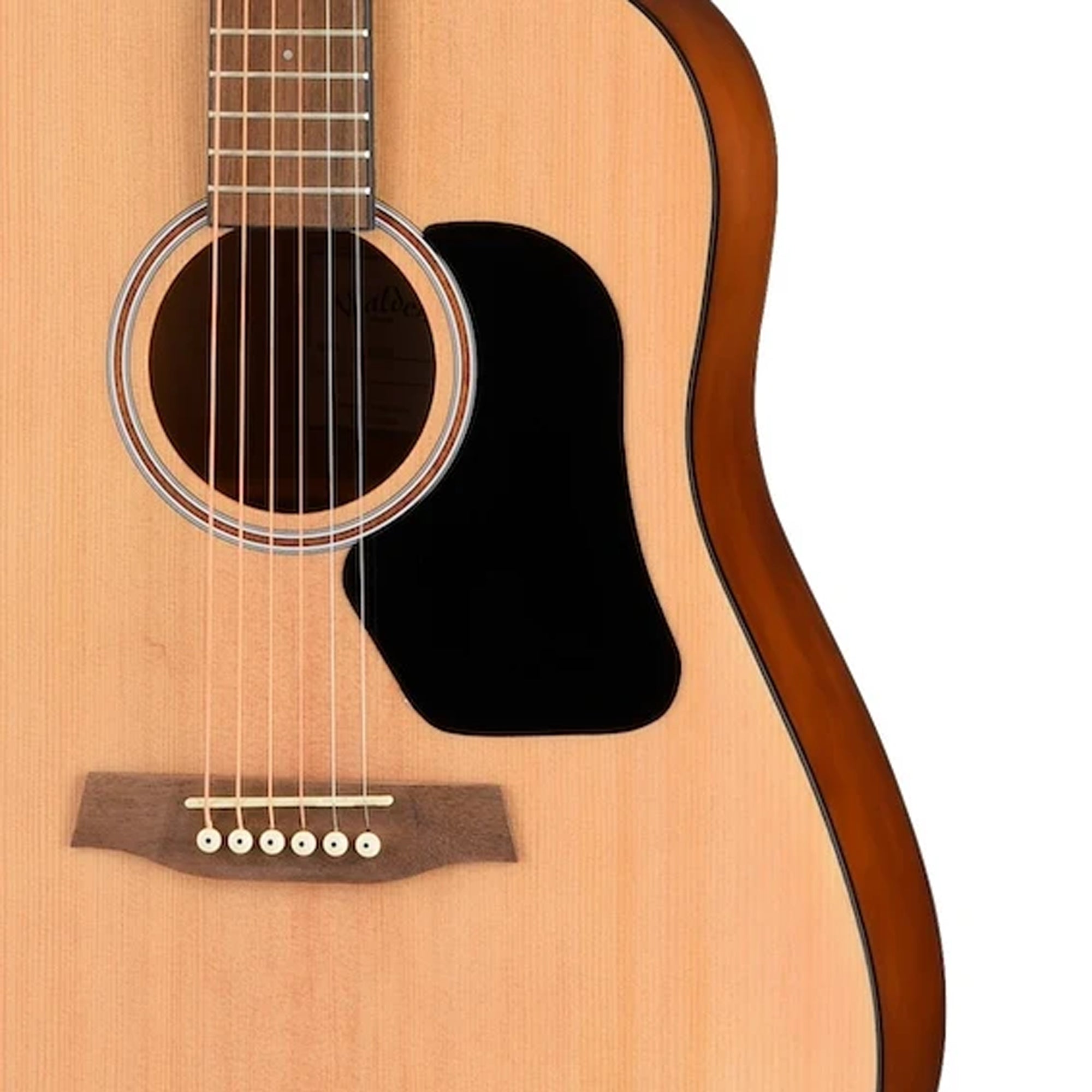 Walden D255 Hawthorne Dreadnought